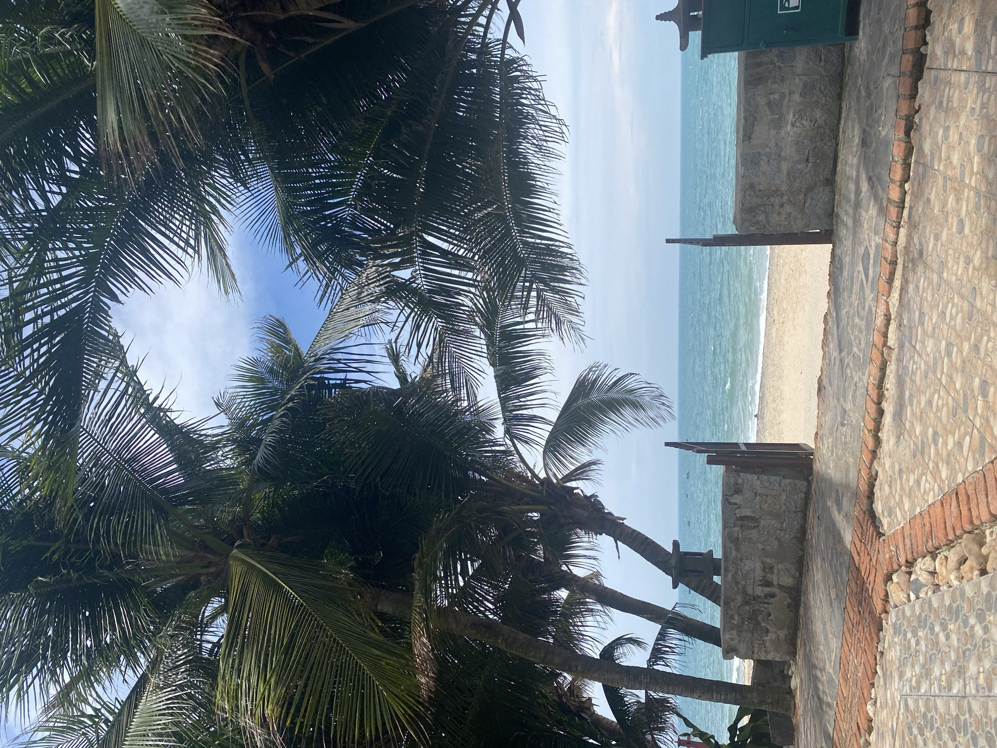 The image depicts a pathway leading to a beach in Phu Thuy Ward, Vietnam, framed by lush palm trees. The pathway is paved with a mosaic of stone tiles and accented with a border of red bricks and smooth, light-colored rocks. A low stone wall with a wooden gate separates the pathway from the sandy beach. Beyond the wall, the turquoise ocean stretches towards the horizon under a bright, partly cloudy sky. The scene is tranquil, with no people visible and the environment suggesting a peaceful coastal setting.