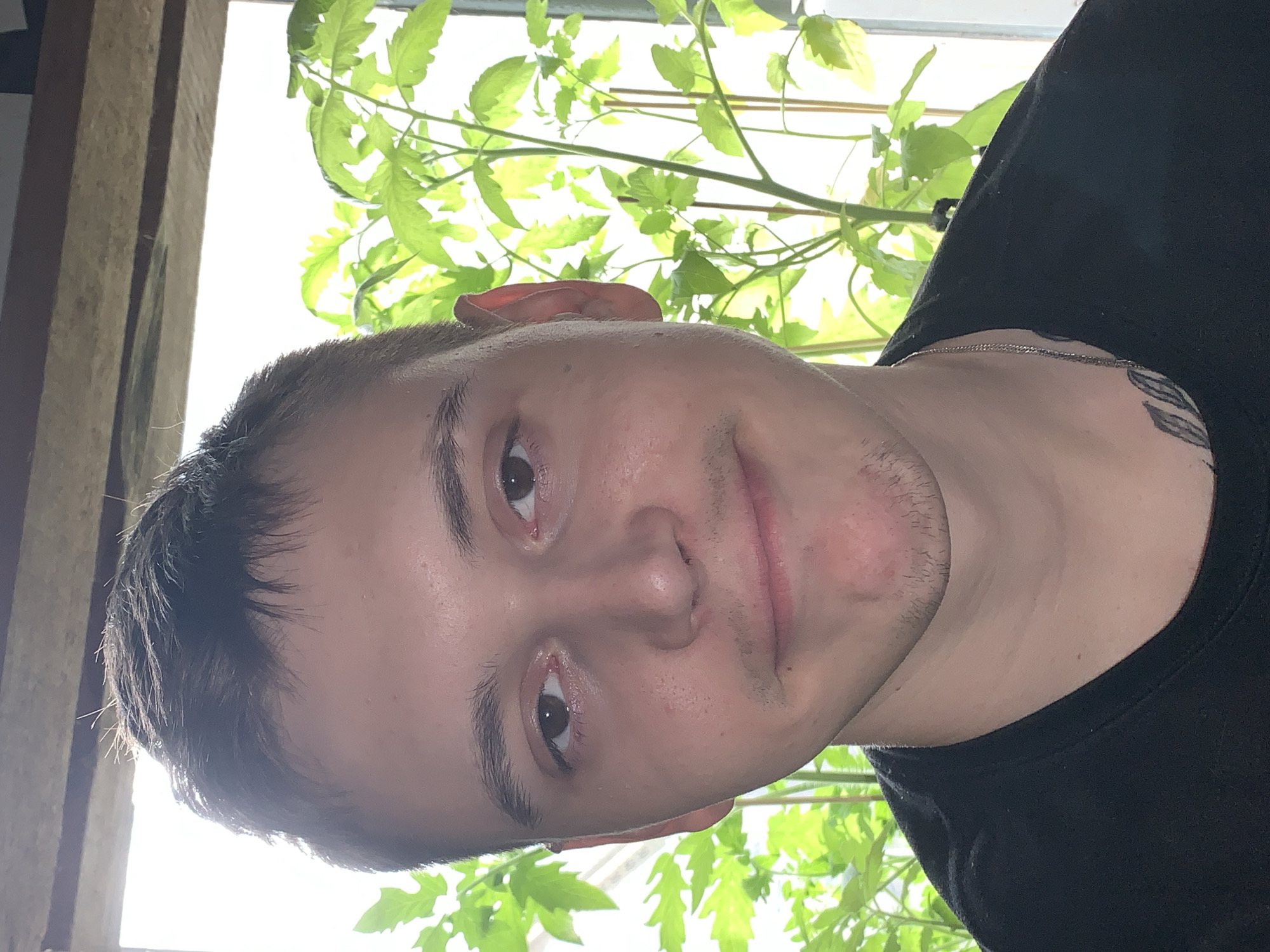 A close-up, rotated portrait shows a young man with fair skin, dark short hair, and light stubble on his chin and upper lip, looking directly at the camera with a subtle, neutral expression. He wears a plain black t-shirt and a thin silver chain around his neck. A dark-patterned tattoo is partially visible on his left shoulder/upper arm. The background is brightly lit by natural light, likely from a window, and filled with numerous vibrant green leaves of what appear to be plants, possibly tomato plants, creating a lush, organic backdrop. A vertical wooden beam or frame is visible on the far left. The scene suggests a casual, indoor setting, possibly a home or greenhouse in Фоки, Russia, during the daytime. There is no visible text in the image.