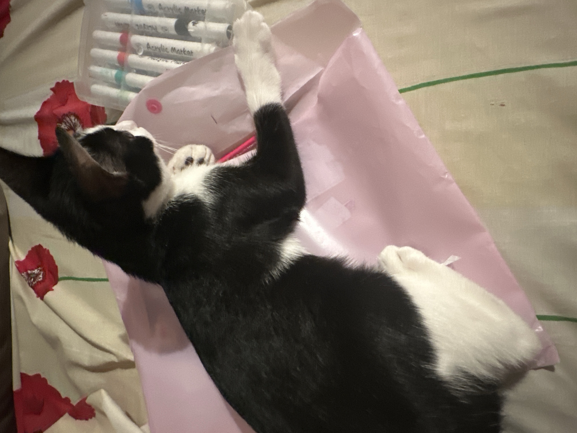 A black and white cat is lying on its back, nestled in a pink fabric. The cat appears relaxed, with its paws extended upwards. To the left of the cat, a clear plastic container filled with markers is visible, with some of the markers showing colorful tips. The background consists of a light-colored fabric with a floral pattern, featuring red flowers. There is a thin green stripe running horizontally across the fabric. The setting appears to be indoors, possibly on a bed or a sofa, given the soft fabric and the overall cozy appearance. The lighting suggests it might be daytime, but there are no strong indications of natural light. Some text is visible on the markers: "Acrylic Marker." The image captures a quiet, everyday moment, with the cat enjoying a moment of repose amidst art supplies.