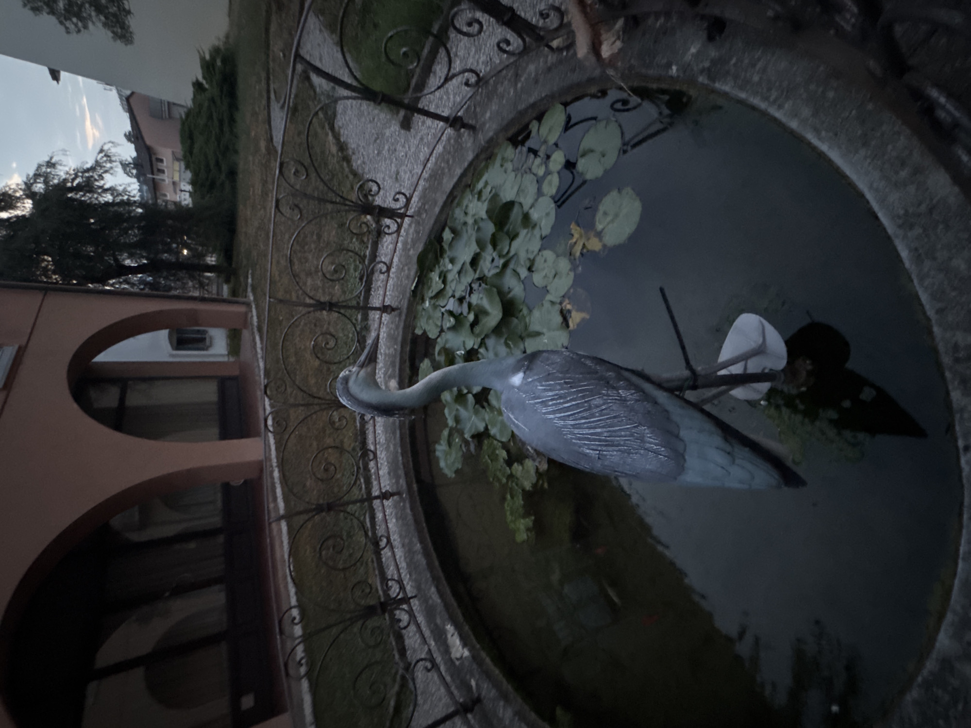 The image shows a decorative heron statue standing in a circular pond surrounded by a decorative iron fence. The pond contains lily pads and a few visible koi fish swimming beneath the surface. In the background, there is a building with arched windows and an overgrown garden area with trees and bushes. A gravel pathway is visible behind the fence. The lighting suggests it is dusk or early evening. The scene is located in Balerna, Switzerland.