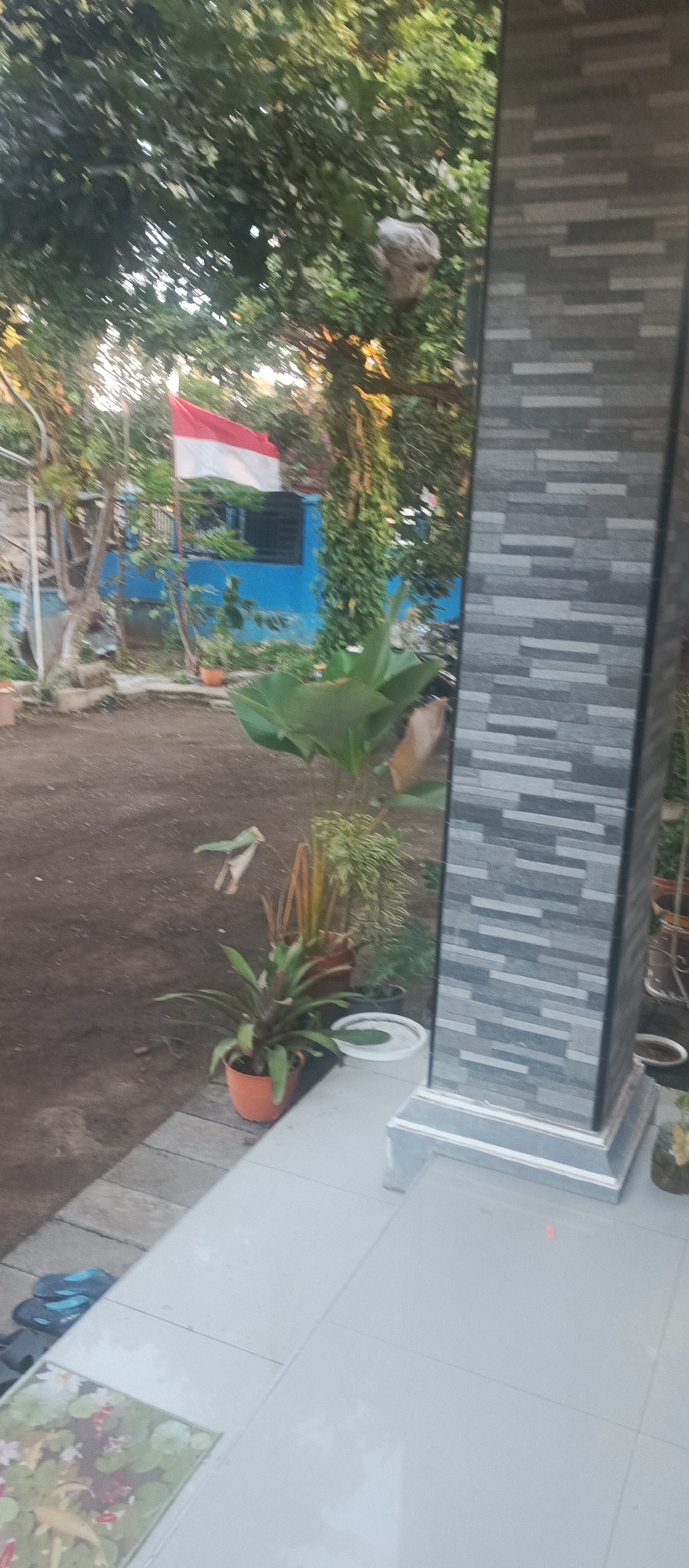 In Jatisari, Indonesia, a front yard scene unfolds. A flag of Indonesia, red and white, is displayed prominently, flying from a pole against a backdrop of trees and a blue building. The building has a dark window. In the foreground, a large, textured pillar with gray stone-like tiles stands to the right. Several potted plants are arranged on the ground and on paving stones, including a bromeliad in an orange pot and a larger plant with broad leaves. To the left, a pair of sandals rests on the paving. The ground is covered in dirt and scattered leaves. A white bucket sits near some of the plants. The lighting suggests it is late afternoon or early morning.
