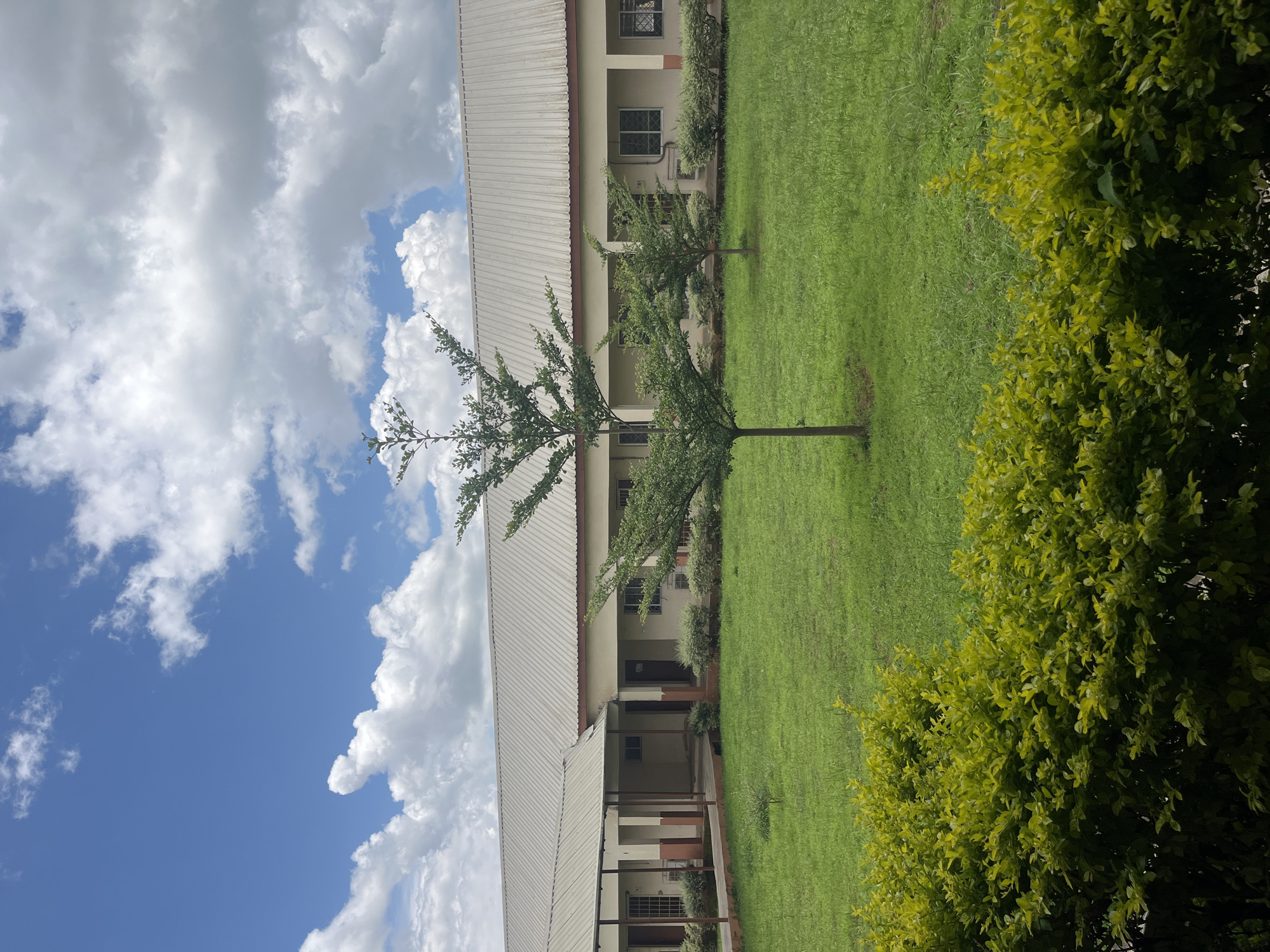 The image depicts a building with a metallic roof and a covered walkway, located in the city of Jos, Nigeria. The building appears to be a single-story structure with a light-colored facade and visible windows. In front of the building is a well-maintained lawn with a few young trees. In the foreground, there is a dense hedge of green foliage. The sky above is a mix of blue and white clouds, suggesting fair weather. No people are visible in the scene. The overall impression is one of a serene, institutional or educational environment.