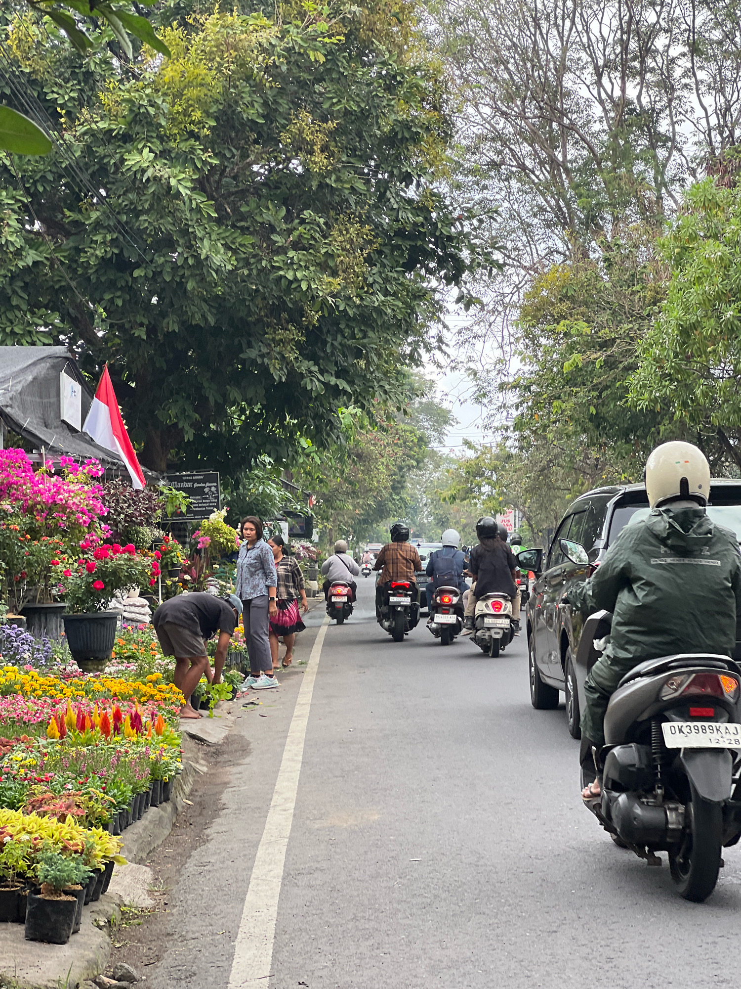 In Denpasar, Indonesia, a street scene unfolds with a focus on a vibrant flower market lining the roadside. A man, barefoot and wearing shorts, is seen tending to the plants. Beside him, two women stand, one in a blue patterned shirt and grey pants, the other in a checkered top and pink skirt. A red and white Indonesian flag is displayed prominently on a stall. The street is active with traffic, primarily motorbikes, and a black car. The surrounding environment is lush with trees and foliage, suggesting a tropical setting. The overcast sky indicates a potentially humid day. The registration plates of the vehicles are visible, with one motorbike displaying "DK3989KAJ 12-28". The overall atmosphere is one of a bustling urban market intersecting with daily life and local culture.