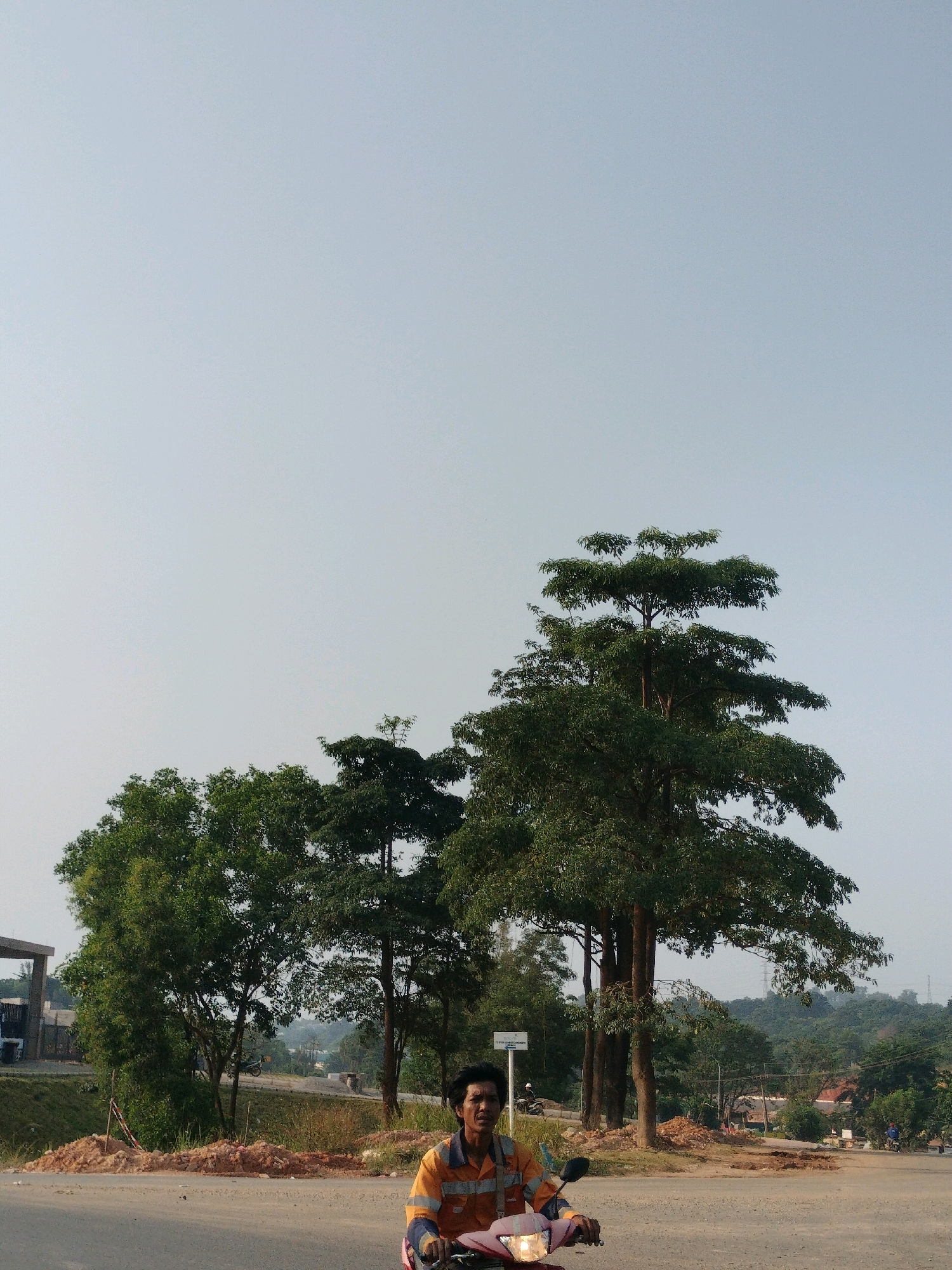 A man in an orange and blue safety vest rides a pink motorcycle on a paved road. He is looking forward, and his face is visible. Behind him, a large tree with a distinctive layered canopy stands tall against a pale blue sky. To the left of the large tree, several smaller green trees are clustered. In the background, there is a building structure on the left and a hilly landscape with more trees and some distant power lines. The ground appears to be dusty and uneven in some areas, with piles of reddish-brown dirt visible. The overall scene suggests an outdoor environment, possibly in a semi-urban or developing area, with evidence of construction or earthworks. The lighting indicates it is daytime, likely late afternoon given the soft light. This location appears to be in Batam, Indonesia, potentially near an industrial or construction zone, given the presence of safety vests and construction debris.