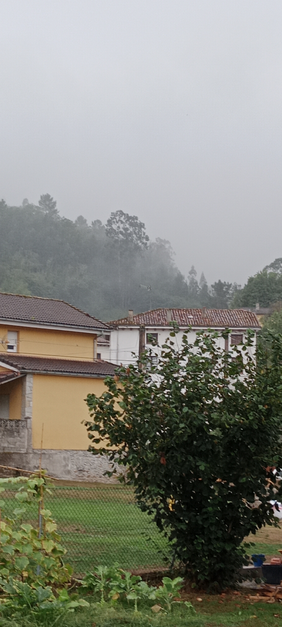 The image depicts a misty, overcast day in a rural or suburban area. In the foreground, there is dense green foliage, including a leafy tree on the right side of the frame and some smaller plants and vegetation towards the bottom left. Behind the foliage, a chain-link fence encloses a grassy area.
Further back, several buildings are visible. To the left is a two-story building with a yellow facade and a brown tiled roof, featuring at least one window. Next to it, to the right, is another building with a white facade and a similarly tiled roof, displaying multiple windows. The architectural style suggests a European setting.
In the background, a tree-covered hill or mountainside is shrouded in fog or mist, with the outlines of trees faintly visible. The overall atmosphere is subdued and somewhat hazy. Based on the architectural style and the lush, green landscape, this scene is consistent with the general environment of Pravia, Spain, particularly its surrounding rural areas characterized by residential buildings and natural landscapes. No people or specific actions are depicted.