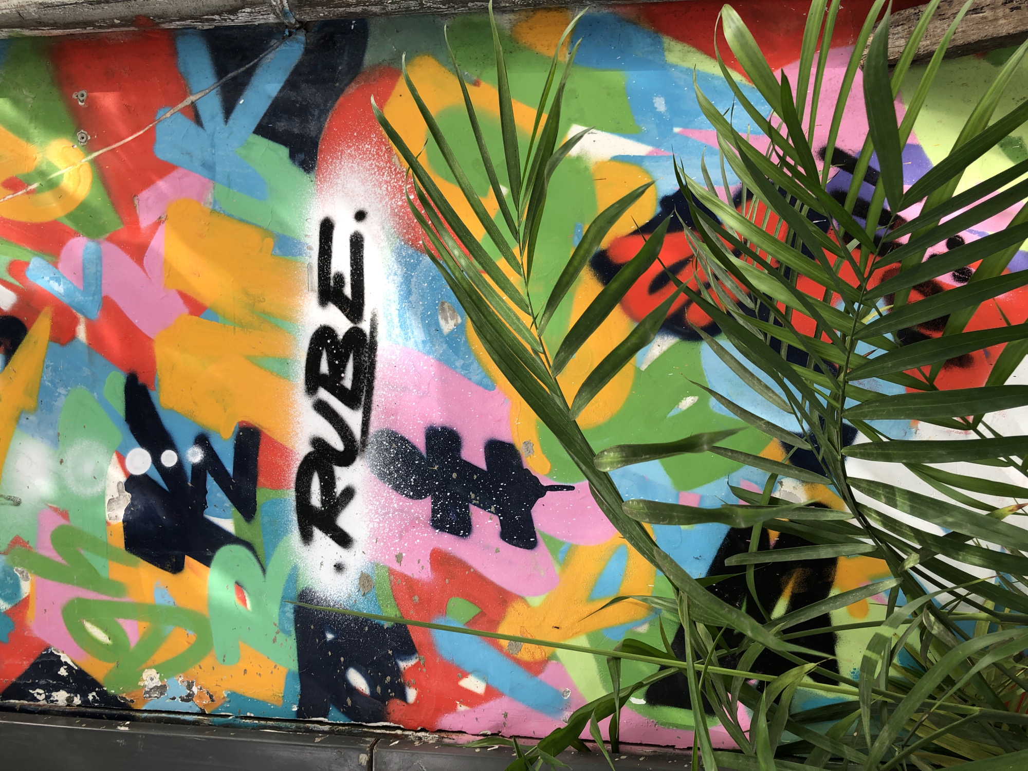 A close-up, eye-level shot showcases a section of a vibrant, graffiti-covered wall in Da Nang, Vietnam. The wall displays an abstract mix of bright, overlapping spray-painted shapes in yellow, pink, green, red, blue, and black. Prominently featured in white spray paint, with a black outline, are the words ".RUBE." centered within the frame. To the left of the text, a black, stylized cross shape with a dripping effect is visible against a pink background. Lush green palm fronds gently obscure the lower portion of the wall, adding a natural element to the urban art. The top left corner of the image shows a dark, vertical metallic surface, possibly a door frame or pillar, with distressed paint.