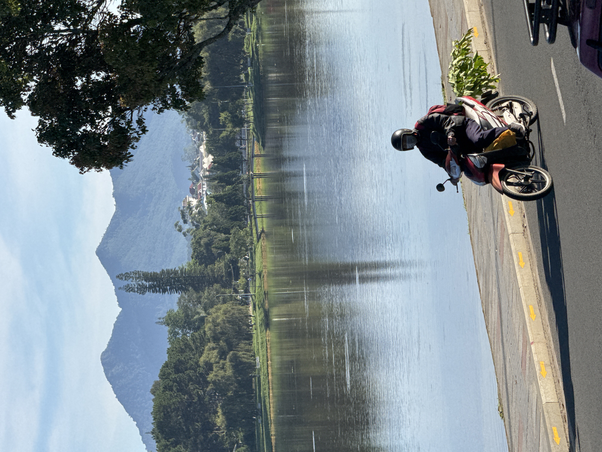 In Da Lat, Vietnam, a person wearing a helmet and face mask rides a red and white motorcycle along a paved road bordering a calm lake. The motorcycle carries a large bundle of green foliage attached to the rear. The lake reflects the clear blue sky and the distant mountains and trees. A treelined park with benches and a bridge is visible across the lake, and a town with houses and buildings is nestled on the hillside behind the park. The sun casts shadows from the trees and the motorcycle onto the road.