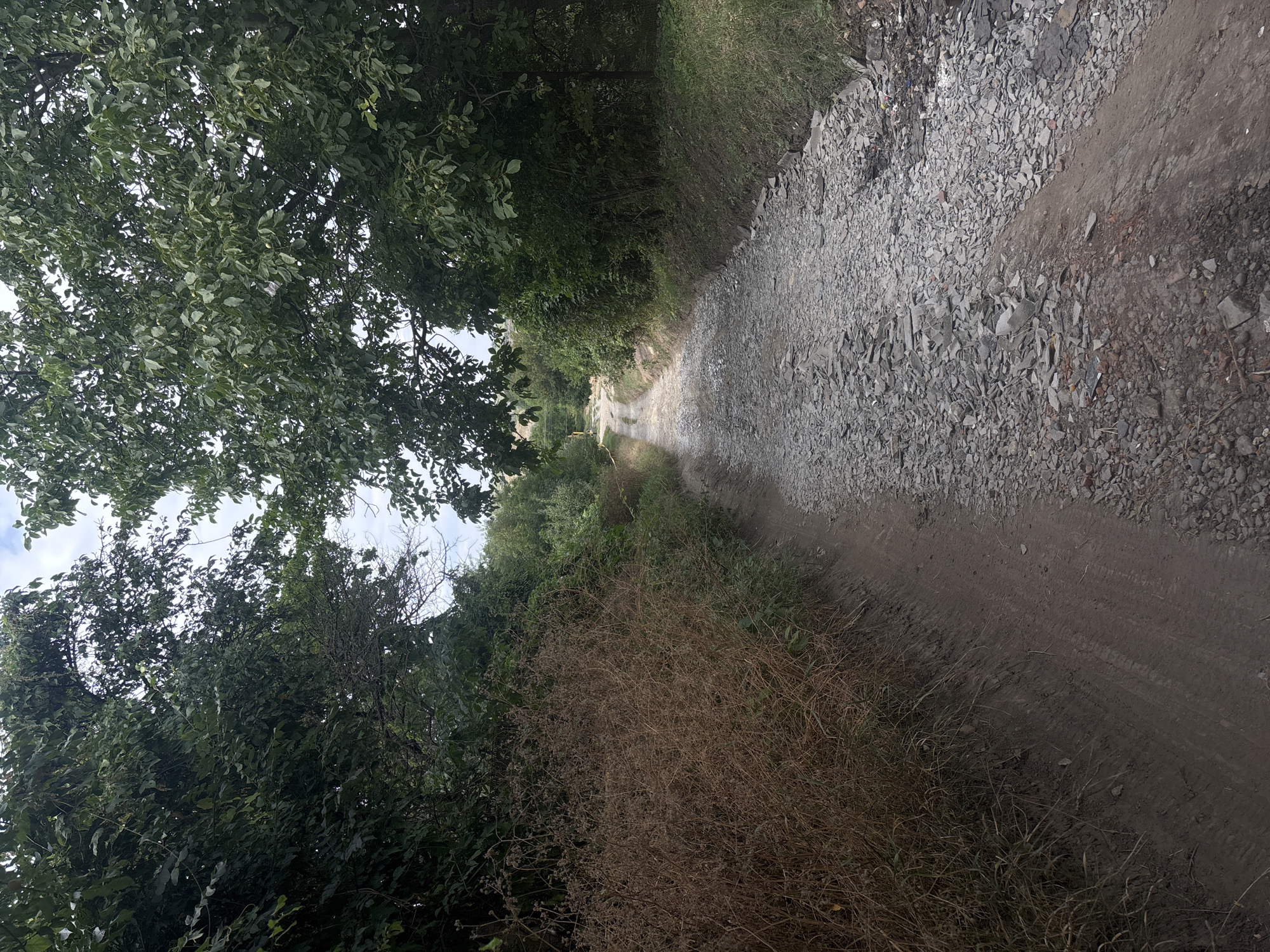 An unpaved road, covered in gravel and broken shale, winds through a rural landscape. Dense green foliage, including trees and bushes, lines both sides of the road. On the left, a patch of dry, brown brush contrasts with the vibrant green. The sky above is partly cloudy, with patches of blue visible through the tree canopy. The road appears to be in a state of disrepair, with loose stones and uneven surfaces. There is no indication of human presence or activity in the image. The scene is likely a rural road in or near the city of Nadezhda, Russia, based on the provided context.