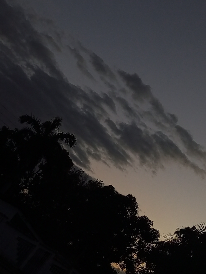 A dusky sky filled with long, striated clouds dominates the image, shifting from a pale orange near the horizon to a dark blue-gray above. Silhouetted trees, including a palm, occupy the lower portion, their shapes defined against the twilight. A hint of a building’s roofline is visible in the bottom left corner, further emphasizing the urban setting. Overall, the composition highlights the transition between day and night.