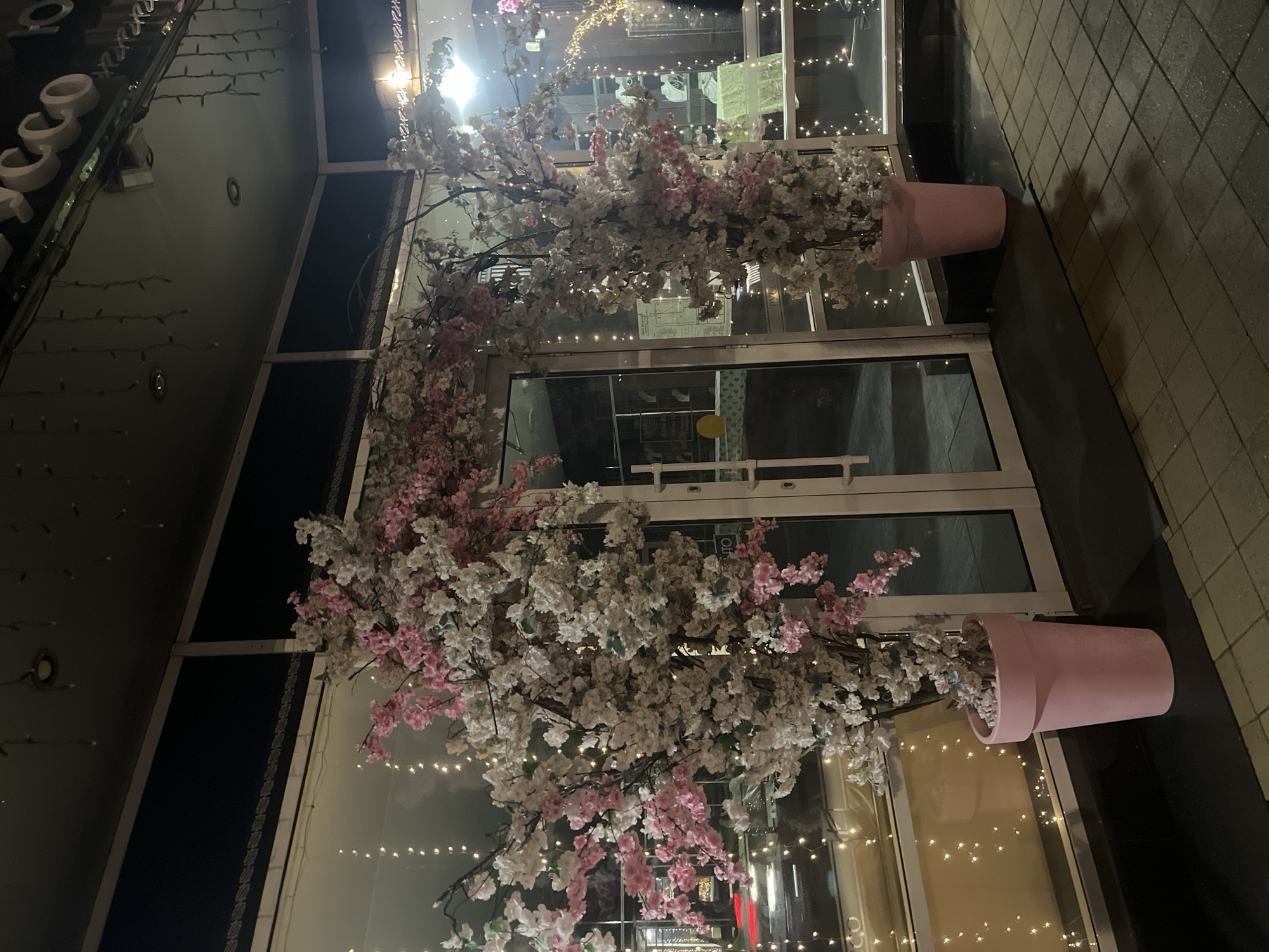 This image depicts the entrance of a commercial establishment in Krasnodar, Russia, at night. The entrance is framed by artificial cherry blossom trees, with branches laden with pink and white flowers. These trees are housed in two large pink planters, one on each side of the double glass doors. String lights are visible, draped across the facade and inside the building, casting a warm glow. The storefront windows reflect the ambient lighting and some street activity, including the red taillights of a passing vehicle. The ground in front of the entrance is paved with square tiles. A sign with Cyrillic lettering is visible above the entrance, partially obscured by the branches. There are no people visible in the image. The scene suggests a decorative outdoor display for a shop or restaurant.