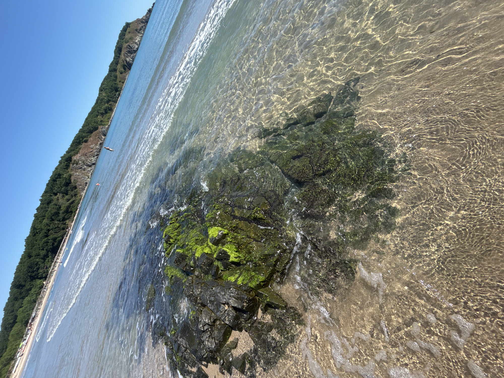 The image depicts a rocky shoreline at a beach in Rezovo, Bulgaria. In the foreground, dark, wet rocks are covered in vibrant green algae. The clear, shallow water gently laps against the rocks and the sandy beach. The sunlight creates shimmering patterns on the water's surface. Further out, gentle waves roll towards the shore. In the background, a lush, tree-covered hillside rises above the beach. A few beach umbrellas and loungers are visible along the sandy stretch of the beach. The sky is a clear, bright blue. There are a few indistinct figures in the water and on the beach in the distance, engaged in typical beach activities.