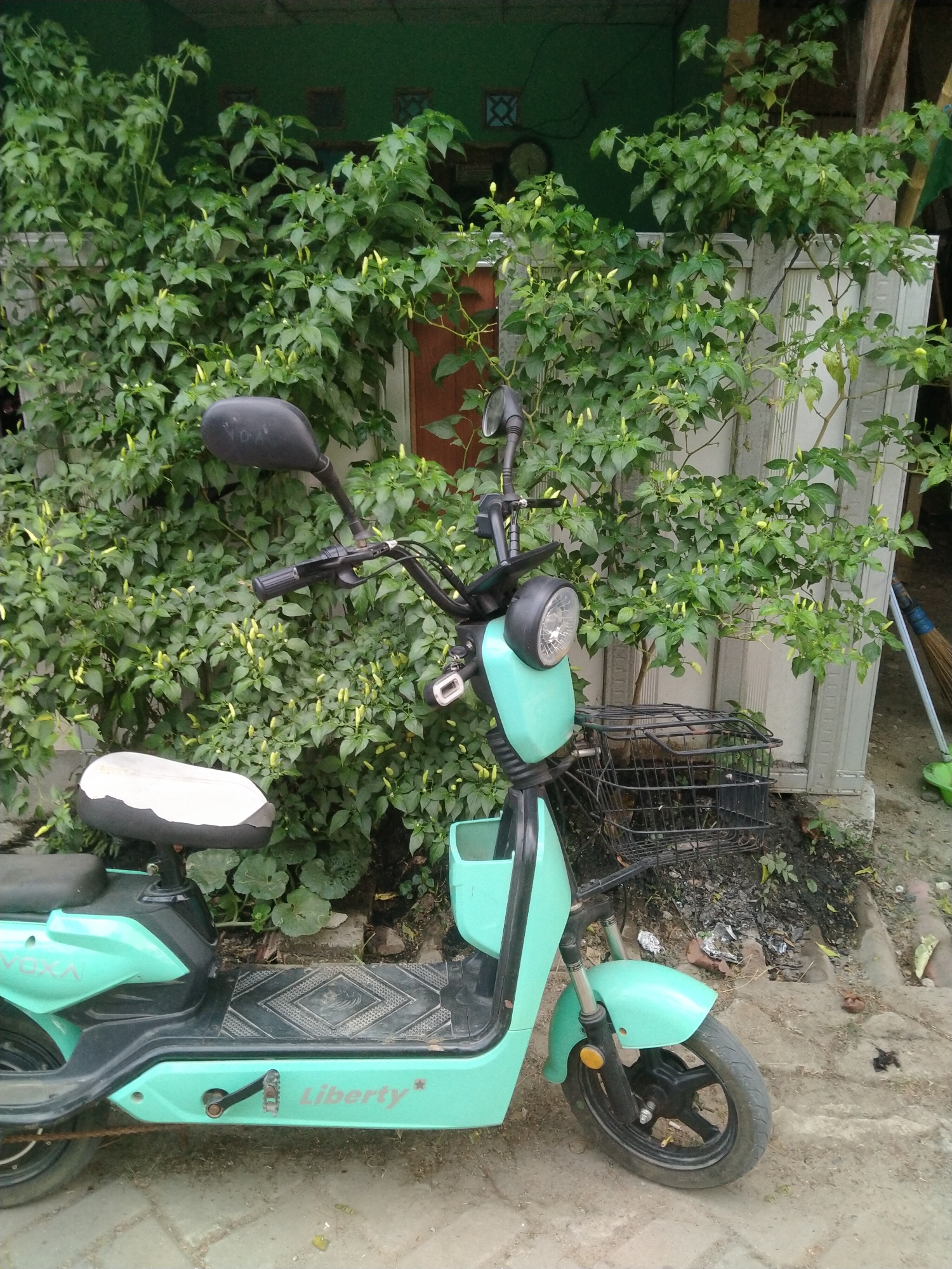 An electric scooter with "Liberty" written on its side is parked in front of a lush green plant with many small yellow peppers. The scooter is teal and black. The background shows a green wall and some fencing. A broom is leaning against the wall to the right of the scooter. The ground is a mixture of pavement and dirt. The image appears to have been taken outdoors in a residential or commercial area, possibly in Cisoka, Indonesia.