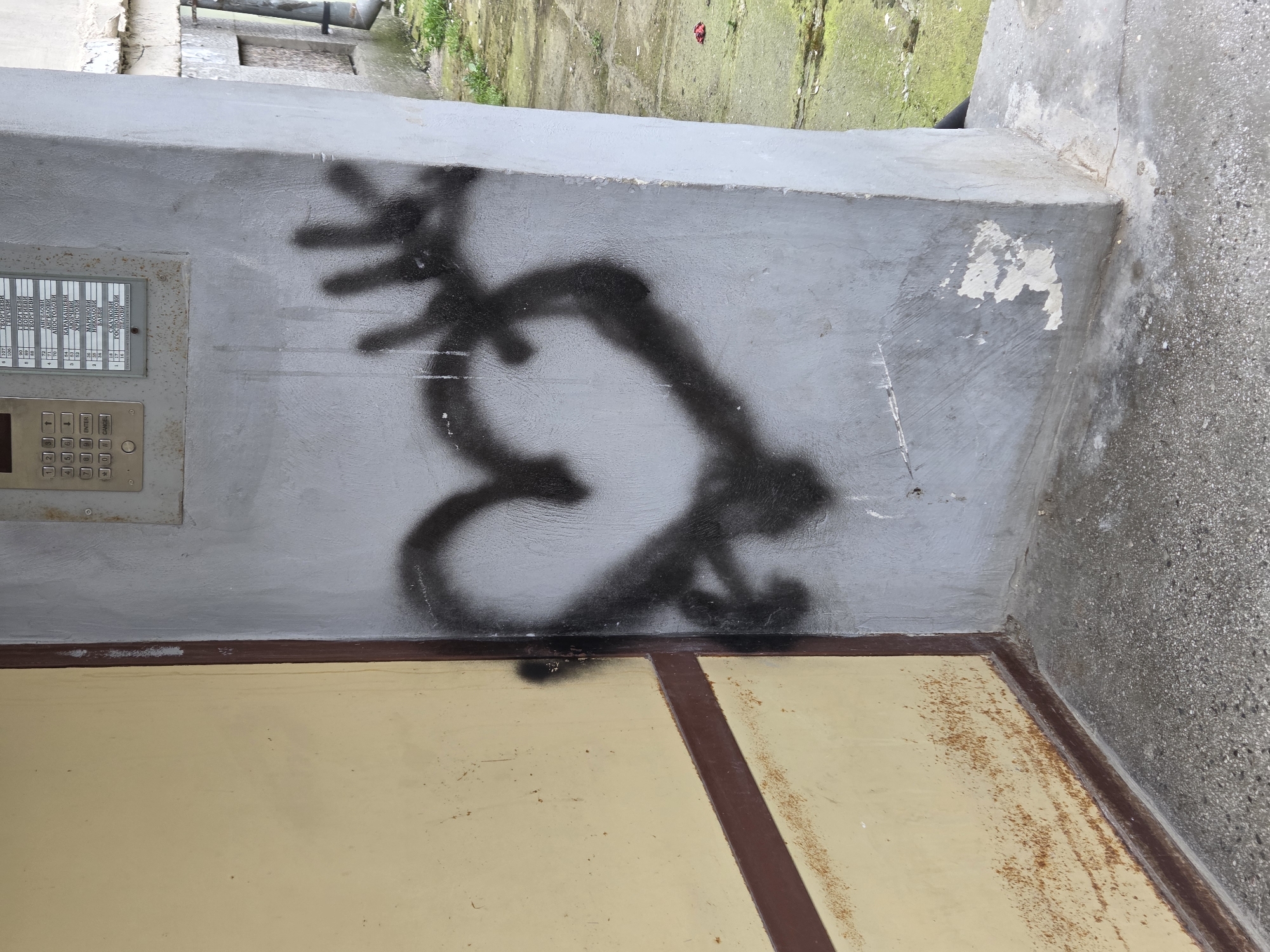The image shows an exterior wall in Varna, Bulgaria. The wall is constructed of concrete and painted gray. Black spray-painted graffiti is visible on the wall, resembling a stylized animal or abstract design. To the left of the graffiti is a gray metal intercom system with multiple buttons and name slots. Below the gray wall is a lower section of the wall, painted a light yellow color with a brown stripe, suggesting it is part of the building's facade. The surrounding environment shows concrete ground and some greenery, indicating an outdoor setting, possibly near a building entrance. The wall has some signs of wear and tear, with patches of missing paint and some staining.