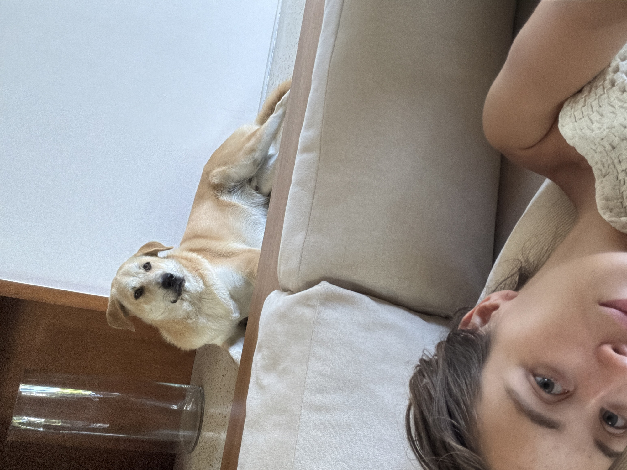 A selfie-style image shows a person and a dog on a beige-colored sofa. The person, with wet, dark hair and light eyes, occupies the lower right portion of the frame. The dog, light brown with a white chest and muzzle, lies near the edge of the sofa on the left side of the frame, looking up at the camera. To the left of the dog is a glass cylinder and some shelving. The location cannot be verified as Mas, Indonesia from this image.