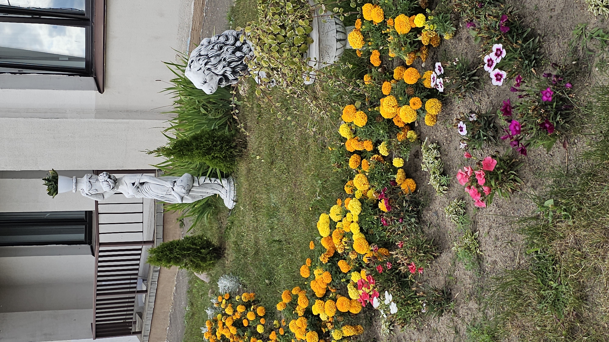 This is an outdoor medium shot image of a garden bed in front of a building. The garden features a variety of flowers, primarily marigolds in shades of yellow and orange, as well as some smaller pink and purple flowers. There are also two decorative statues: a white statue of a woman holding a pot of plants on her head, and a white statue of a lion. In the background, there is a building with windows and a railing, and some small evergreen trees. The ground is a mix of grass and bare soil. This scene is located in the city of Minsk, Belarus.