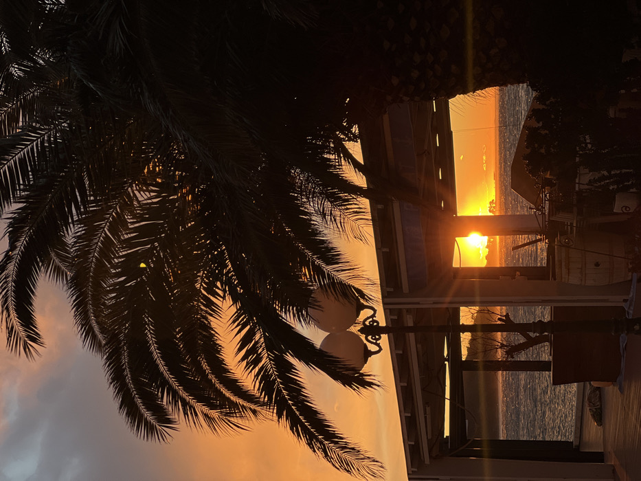The image captures a vibrant sunset scene, likely overlooking a body of water such as the sea or a large lake. The time of day is clearly sunset, as indicated by the low sun, the intense warm colors of the sky, and the strong silhouettes of objects in the foreground.
In the foreground, on the left side of the frame, a large palm tree dominates, its dark fronds creating a prominent silhouette against the illuminated sky. The intricate pattern of the fronds is visible, extending across much of the left and upper parts of the image.
The midground and background reveal a stunning gradient of colors in the sky, ranging from fiery orange and bright yellow directly around the setting sun to softer hues of peach, pink, and hints of purplish-grey further away, particularly towards the upper left. The sun itself is a brilliant, almost blinding orb positioned low on the horizon towards the right side of the image, emitting strong light rays and lens flares that streak across the frame.
Beneath the sun, a body of water stretches horizontally, reflecting the golden light of the sunset. The surface of the water shows subtle ripples or waves, catching the shimmering light.
On the right side of the image, a series of dark, architectural structures are silhouetted against the bright sky and water. These appear to be part of a building, perhaps a seaside restaurant, cafe, or a pier structure, with visible vertical columns and horizontal beams. A classic street lamp with two spherical, opaque light fixtures and ornate metalwork is prominently silhouetted in the mid-right. Reflections can be faintly seen in what might be glass panels within these structures. Below these structures, there appears to be a dark deck or platform leading towards the water. In the far distance, across the water, faint landmasses or islands are also visible as dark silhouettes against the horizon.
The overall mood is serene and picturesque, highlighting the dramatic contrast between the dark, detailed silhouettes of the palm tree and structures, and the brilliant, colorful backdrop of the sunset. No specific activity or visible text is discernible in the image.