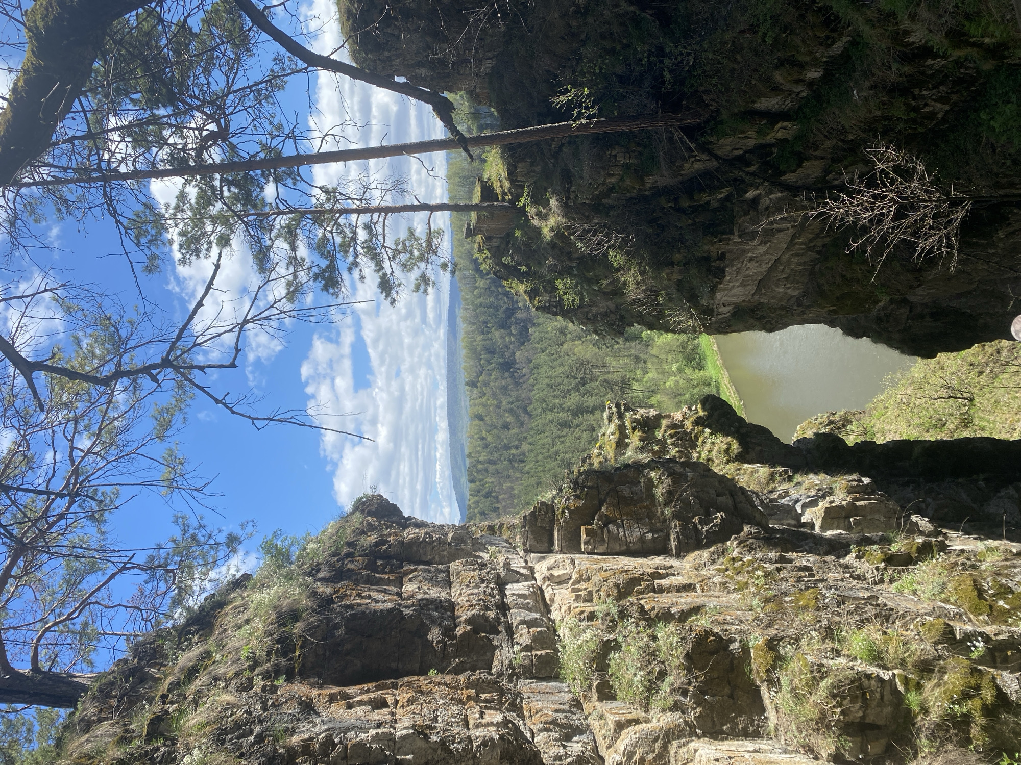The image shows a rocky cliff face in an outdoor setting. The cliff is composed of layered rock formations with vegetation growing on it. A body of water, possibly a lake or river, is visible in the background between the cliff faces, surrounded by trees. The sky is blue with scattered clouds, visible through the trees and the opening between the cliffs. Tall trees frame the scene. The location is Unknown, Russia.