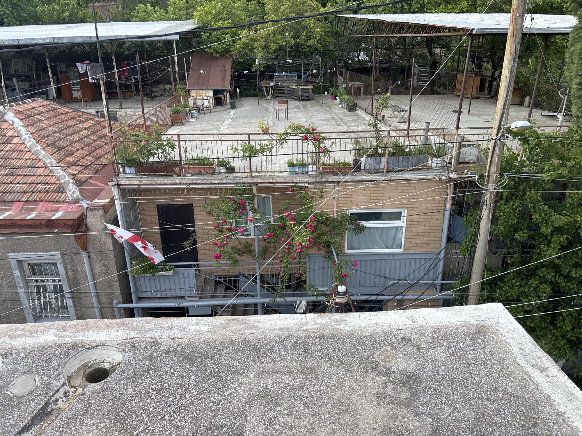 The image shows a view of rooftops and backyards in Tbilisi, Georgia. The foreground is a concrete rooftop with a circular hole and a visible drainage system. The middle ground features a two-story building with a brick facade and a gray metallic lower section. This building has plants on its top balcony. A climbing rose bush with pink flowers covers part of the facade. Power lines crisscross the scene. To the left, a neighboring building has a red-tiled roof and a Georgian flag hanging from its balcony. In the background, elevated platforms with corrugated metal roofing are visible, containing assorted furniture and other items. The overall impression is one of cluttered but lived-in urban spaces. The background is filled with green trees.
