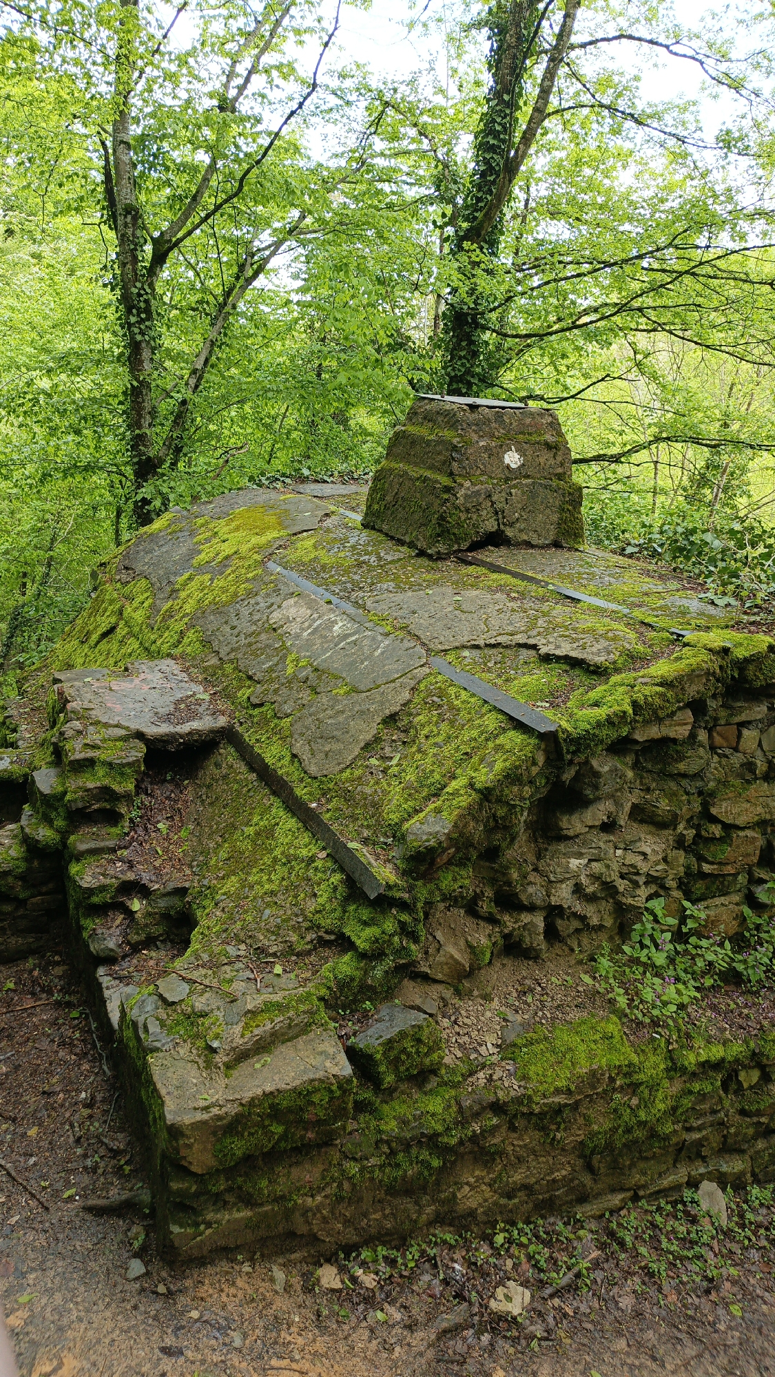 A moss-covered, stone structure is in a forest setting. The structure consists of stacked stones and flat, larger stones on top held together with metal bars. A smaller, layered stone structure sits atop the main structure. The background features lush, green trees and foliage. The ground is covered in dirt and small rocks. The scene is located in Goryachiy Klyuch, Russia.