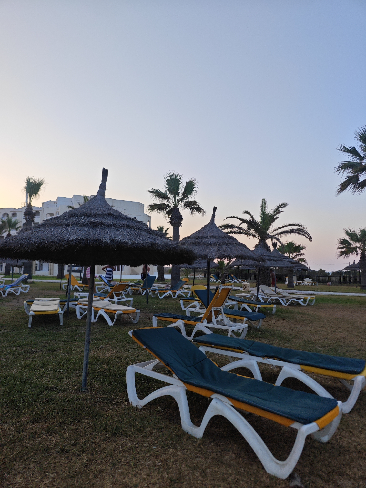 The image depicts a resort or hotel area in Mahdia, Tunisia, at dusk. In the foreground, several empty lounge chairs are arranged on a grassy area. The chairs have white plastic frames and are covered with dark green cushions that have yellow trim. Behind these chairs, a row of thatched-roof umbrellas is visible, providing shade. Further in the background, more lounge chairs and umbrellas are scattered across the lawn. Palm trees are scattered throughout the scene, with a large building that appears to be part of the resort complex visible behind the trees and umbrellas. The sky is a clear gradient of pale blue to soft orange, indicating the sun has recently set. A few people are visible near the building in the background, but they are not the primary focus of the image. The overall impression is a serene and quiet scene of a beach resort preparing for the evening.