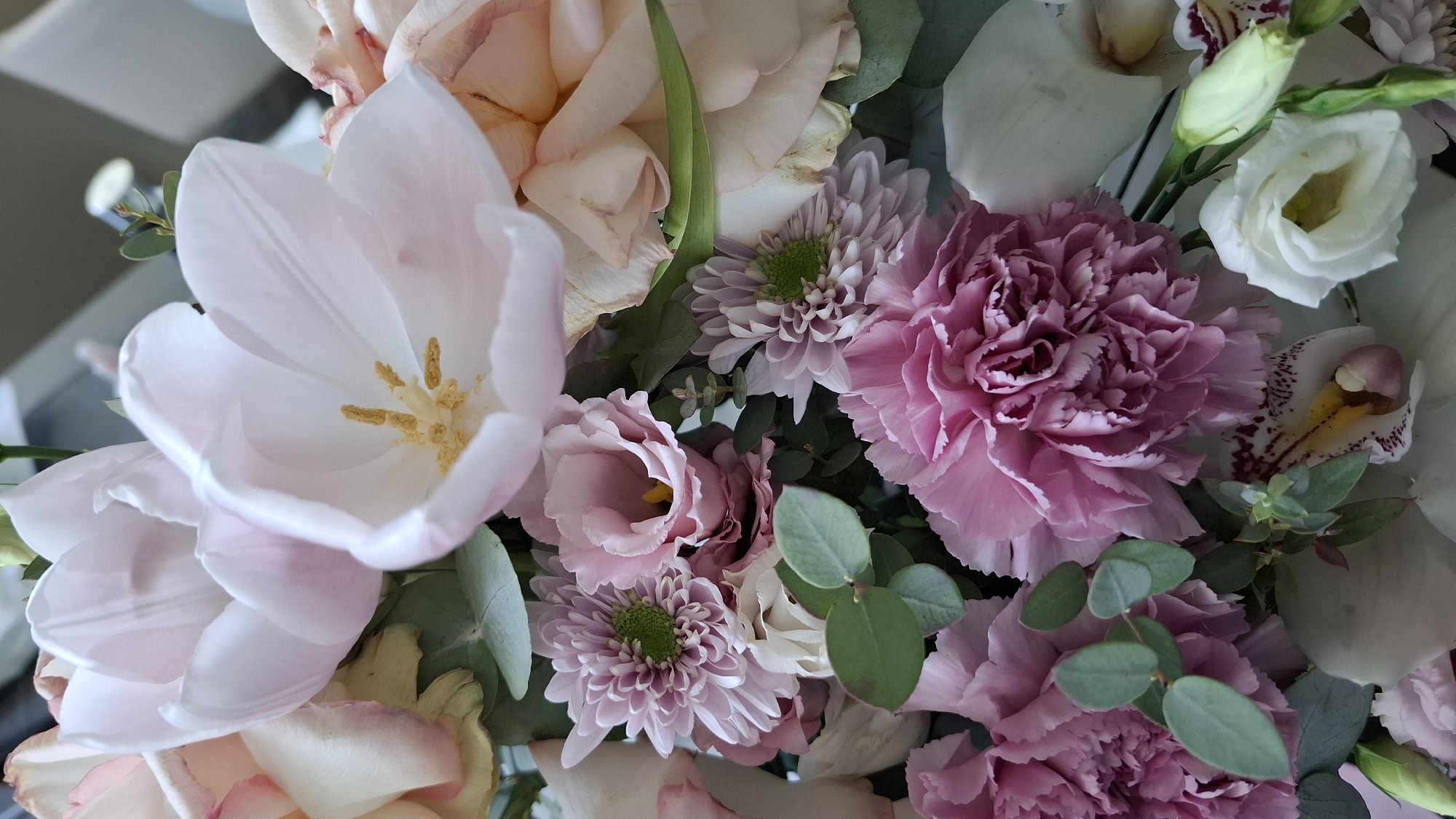 A close-up shot features an arrangement of various flowers in shades of pink, white, and green. Prominent flowers include a light pink tulip, pink carnations, lisianthus in light pink and white, and a small white orchid with purple spots. Green chrysanthemum-like flowers and eucalyptus foliage add texture and contrast to the arrangement. The photo appears to be taken indoors, but no specific location in Budva, Montenegro, can be determined. No people, actions, or interactions are discernible in the image.