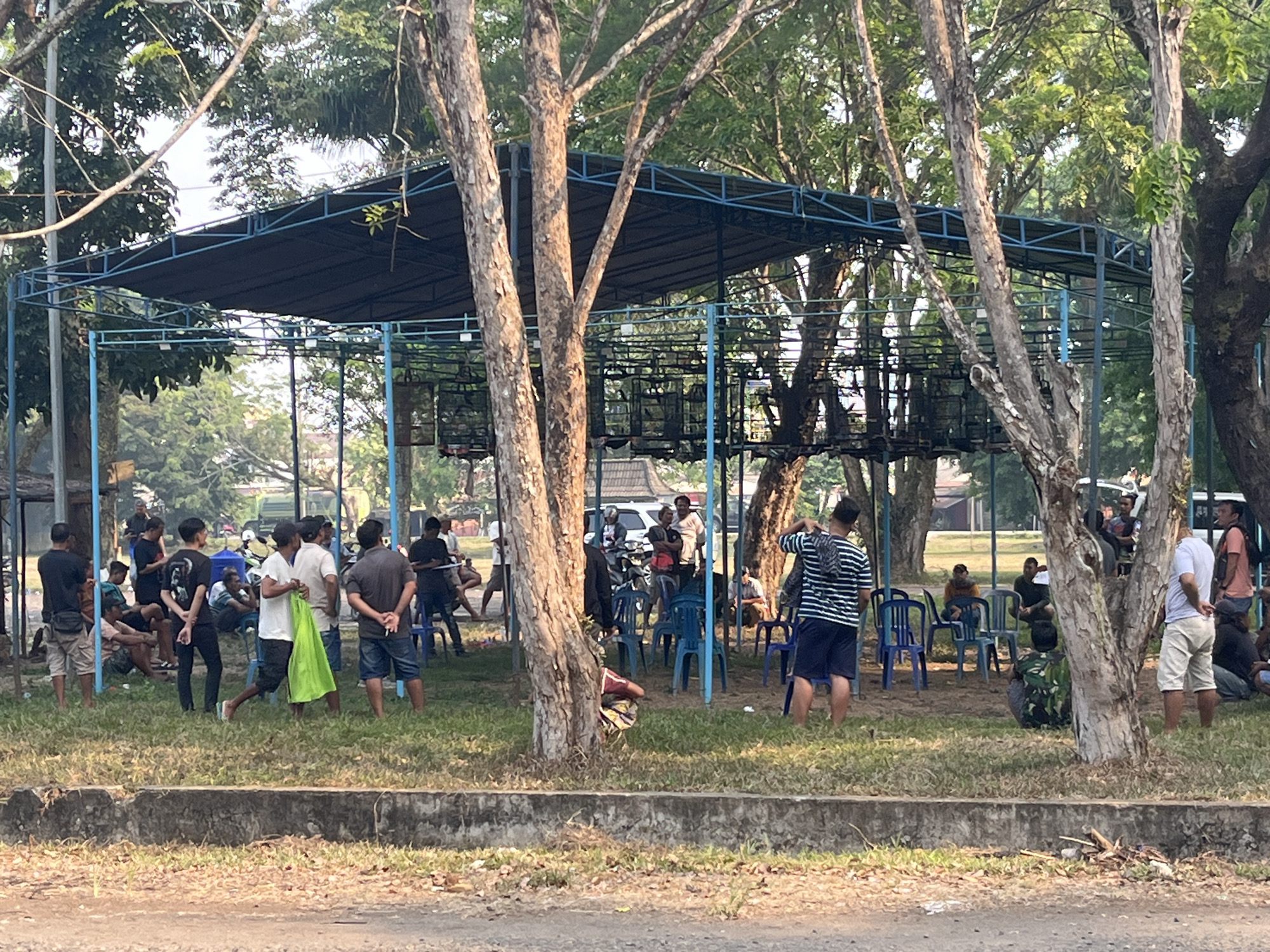 In Sekayu, Indonesia, a group of people are gathered under a covered structure, likely for an outdoor event. The structure, made of blue metal poles and a dark fabric roof, provides shade for attendees. Several bird cages are visible hanging from the structure, suggesting a bird competition or exhibition. The ground is covered with dry grass and fallen leaves, and a concrete barrier runs along the foreground. Several trees with bare branches and lush green foliage surround the area, creating a natural setting. The people are dressed in casual clothing, and some are standing while others are seated on chairs or on the ground. The atmosphere appears relaxed, with individuals engaging in conversation or observing the surroundings. Some individuals are holding bags or small items, and there are a few motorcycles parked in the background. The scene is illuminated by natural sunlight, casting shadows on the ground.