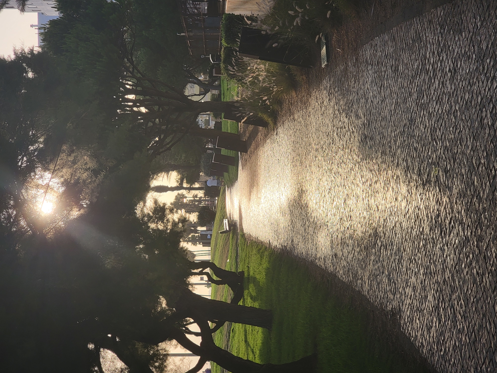The image depicts a sunlit path in Quarteira, Portugal, likely near the beach or a park. The path, paved with cobblestones, reflects the golden light of the sun, creating a shimmering effect. Trees with dense foliage line the left side of the path, casting shadows on the grass. In the distance, a park bench is visible on a grassy incline, and a few people are seen strolling along the path. The background reveals palm trees and buildings, suggesting an urban coastal setting. The overall scene conveys a tranquil and picturesque atmosphere.