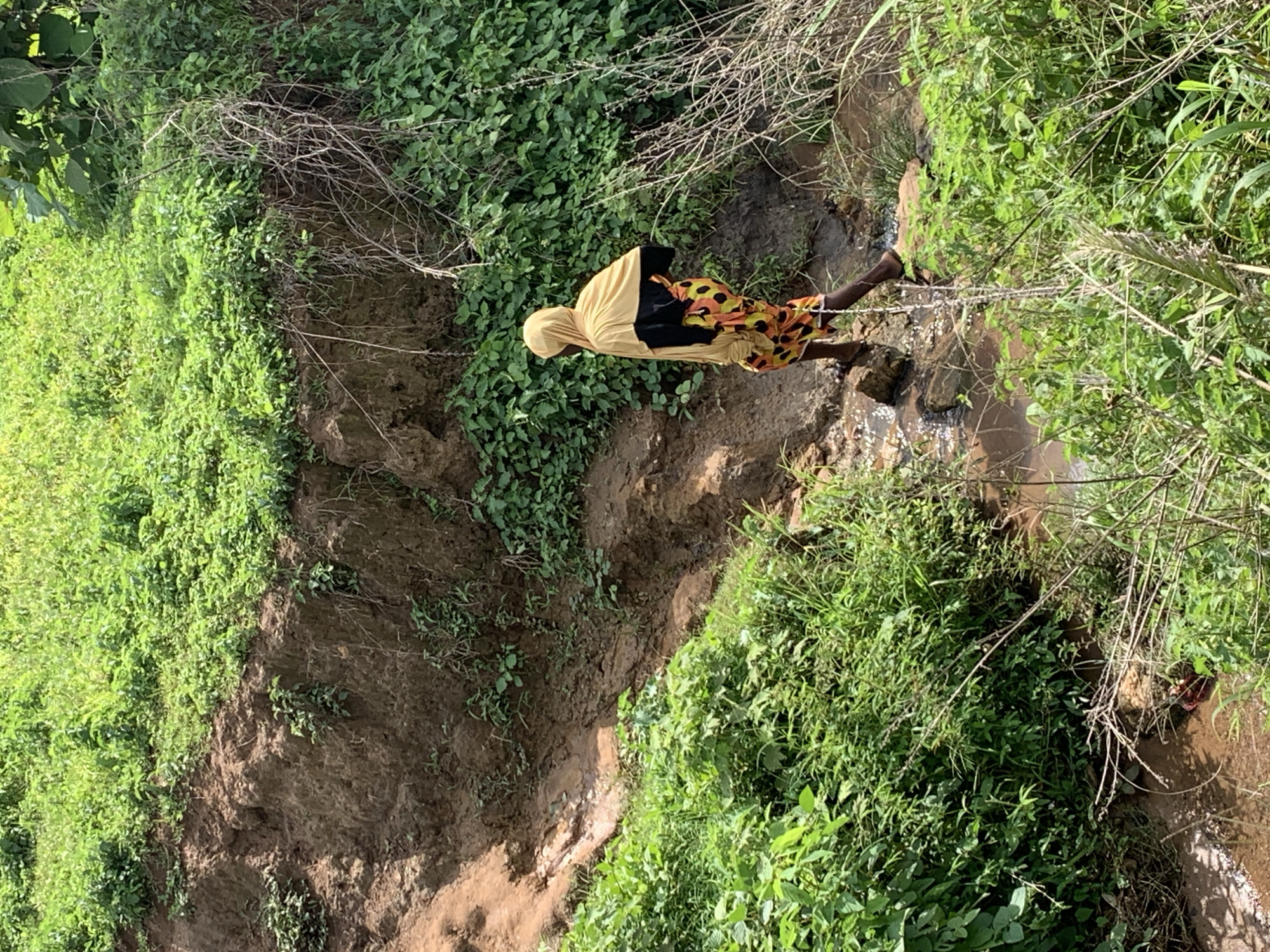 A person wearing a yellow headscarf and a vibrantly colored patterned skirt is walking across a shallow stream. The person is walking from right to left in the frame, with their back mostly to the camera. They are wearing dark sandals. The stream flows through a lush, green environment with dense vegetation on either side, including trees and bushes. The ground appears to be a mix of soil and mud, with some rocks visible in the stream bed. The overall setting suggests a natural, possibly rural or undeveloped area, consistent with parts of Akwanga, Nigeria. The lighting indicates it is daytime.
