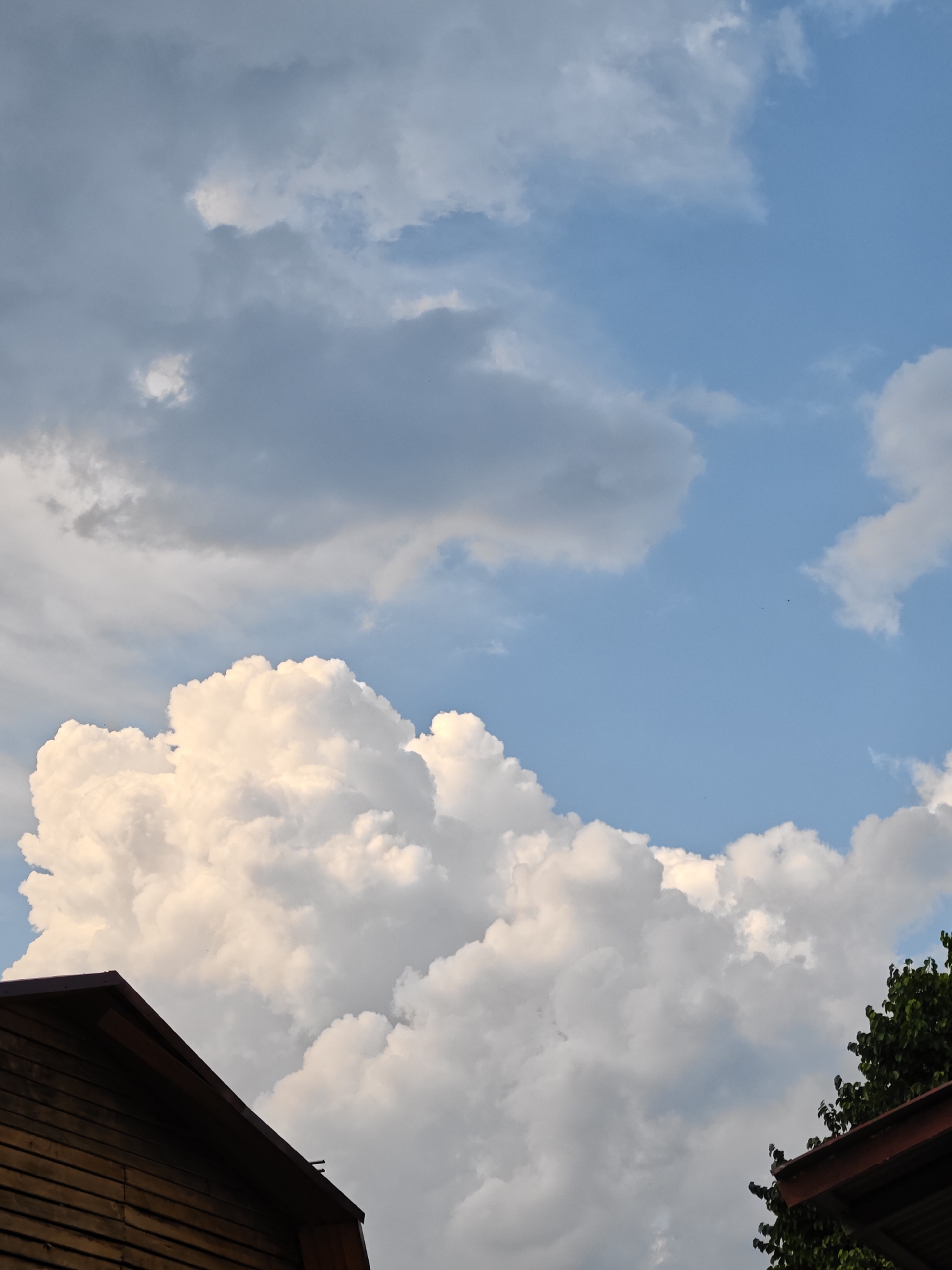 The image shows a view of the sky above Rodniki, Russia, with cumulus clouds dominating the frame. The lower portion of the image features the dark, angled roofs of two buildings, one on the left constructed of horizontal wooden planks and the other on the right with visible dark green foliage from a tree. The sky is a clear blue in the upper right quadrant, transitioning to a mix of light gray and white clouds that create a textured, volumetric appearance. The lighting suggests it is daytime, possibly late afternoon given the soft illumination of the clouds.