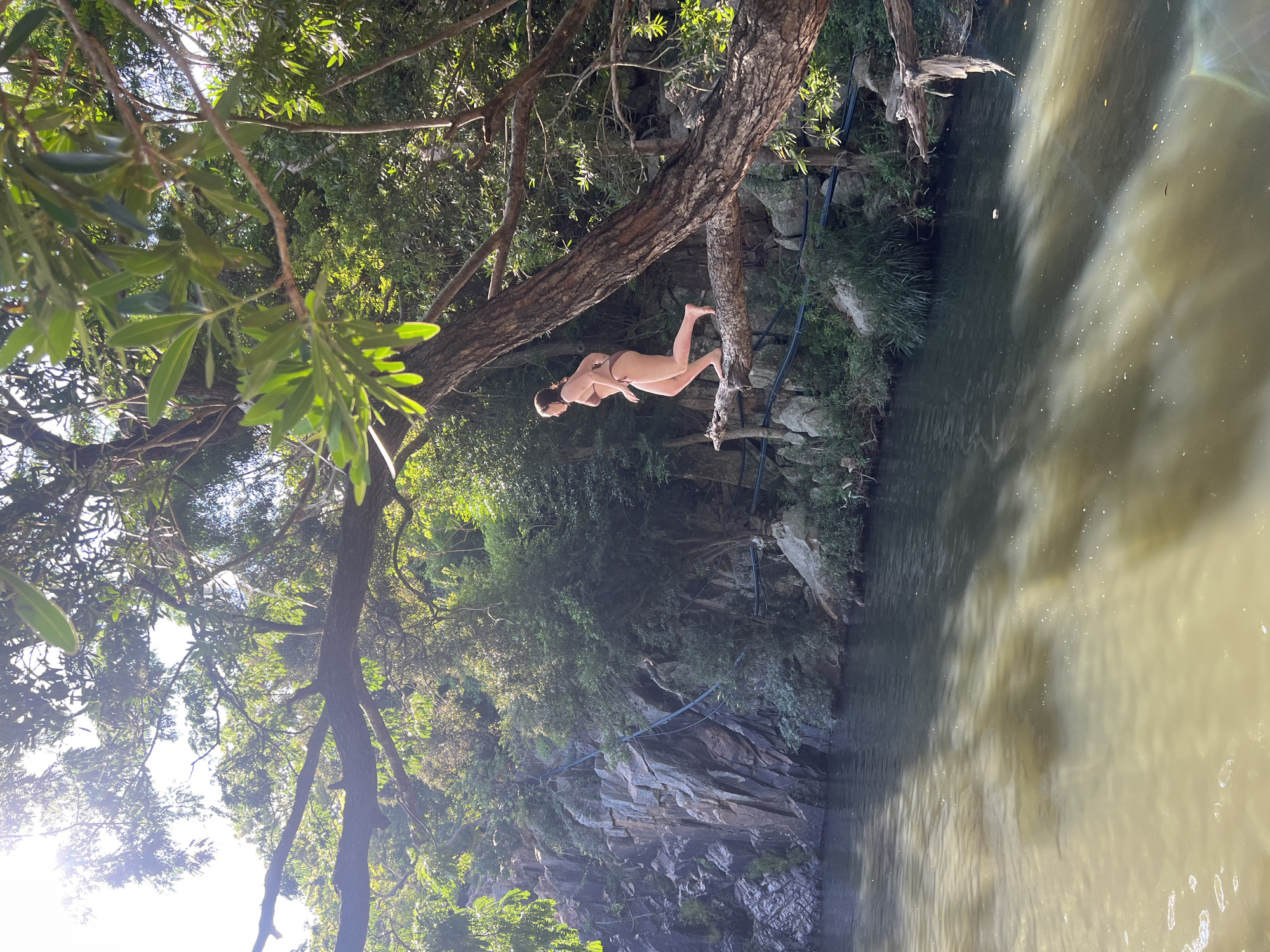 A young woman in a brown bikini is captured mid-stride, running along a thick, rough-barked tree branch that extends over a body of water. She is positioned on the right side of the frame, facing left. The branch she is on dips downwards towards the water, and her body is angled as if preparing to jump or is in the process of running.
The environment is lush and natural. To the left of the frame, a steep, rocky cliff face is visible, covered in patches of green vegetation and crisscrossed with dark, horizontal lines that appear to be ropes or cables. Dense green foliage and trees fill the background, with sunlight filtering through the leaves, creating bright spots and shadows. The water itself is murky and appears to be a mixture of greenish and yellowish tones, with ripples on its surface indicating movement. A few small white specks are scattered across the water's surface, possibly foam or debris. The overall scene suggests an outdoor, natural recreational area, likely a river or stream in a tropical or sub-tropical region. The location in Vĩnh Hải, Vietnam is consistent with this type of landscape.