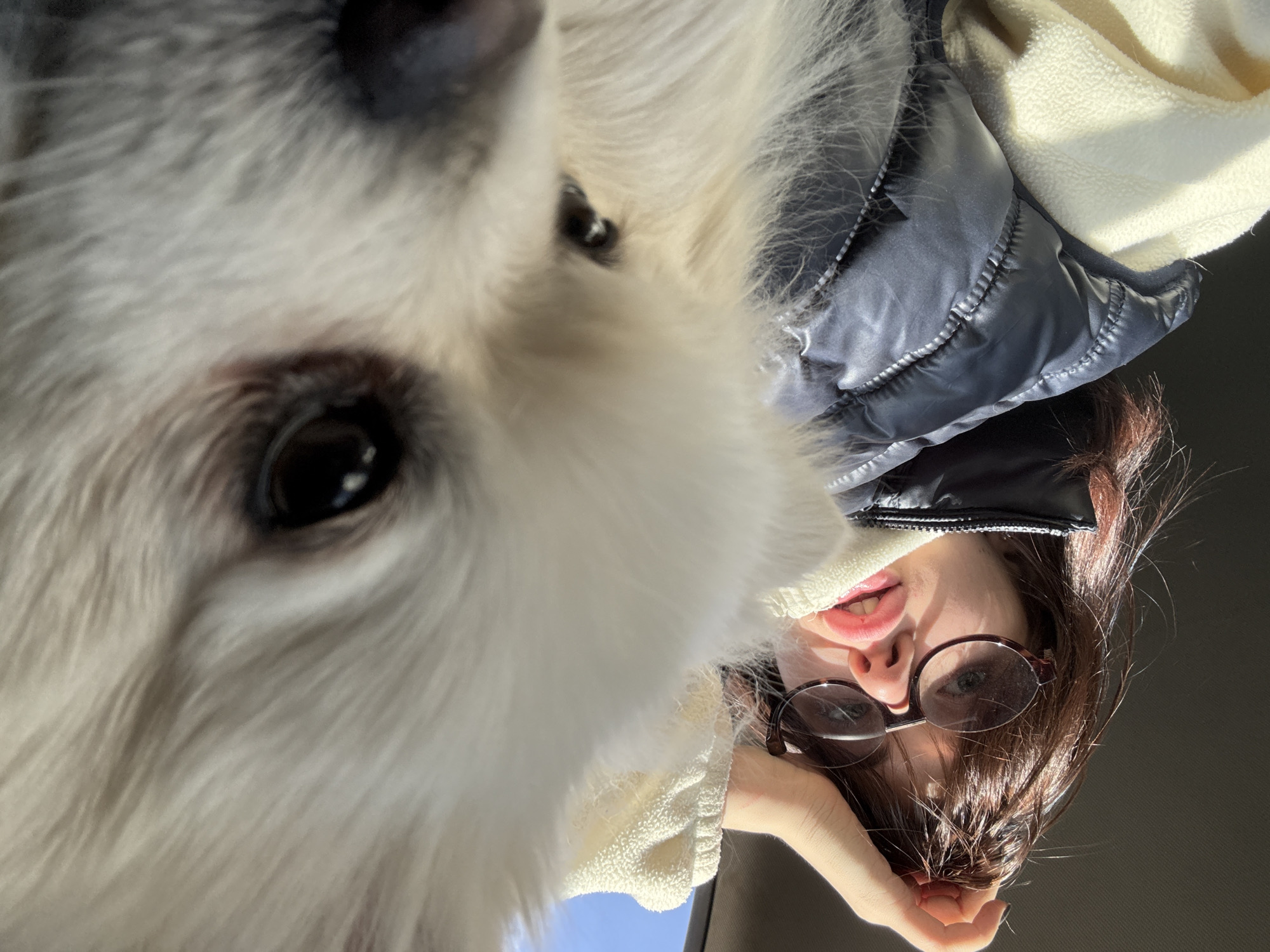 The image depicts a close-up selfie taken from a low angle. The primary subject is a fluffy white dog, its face occupying the left side of the frame. The dog's dark eyes are visible. To the right of the dog is a person with brown hair and glasses. The person is wearing a cream-colored hooded sweatshirt and a black puffer jacket. The location appears to be indoors, possibly in a car, based on the dark background and visible vehicle interior. There is no identifiable information that indicates this location is in the city of Лобаново, Russia.
