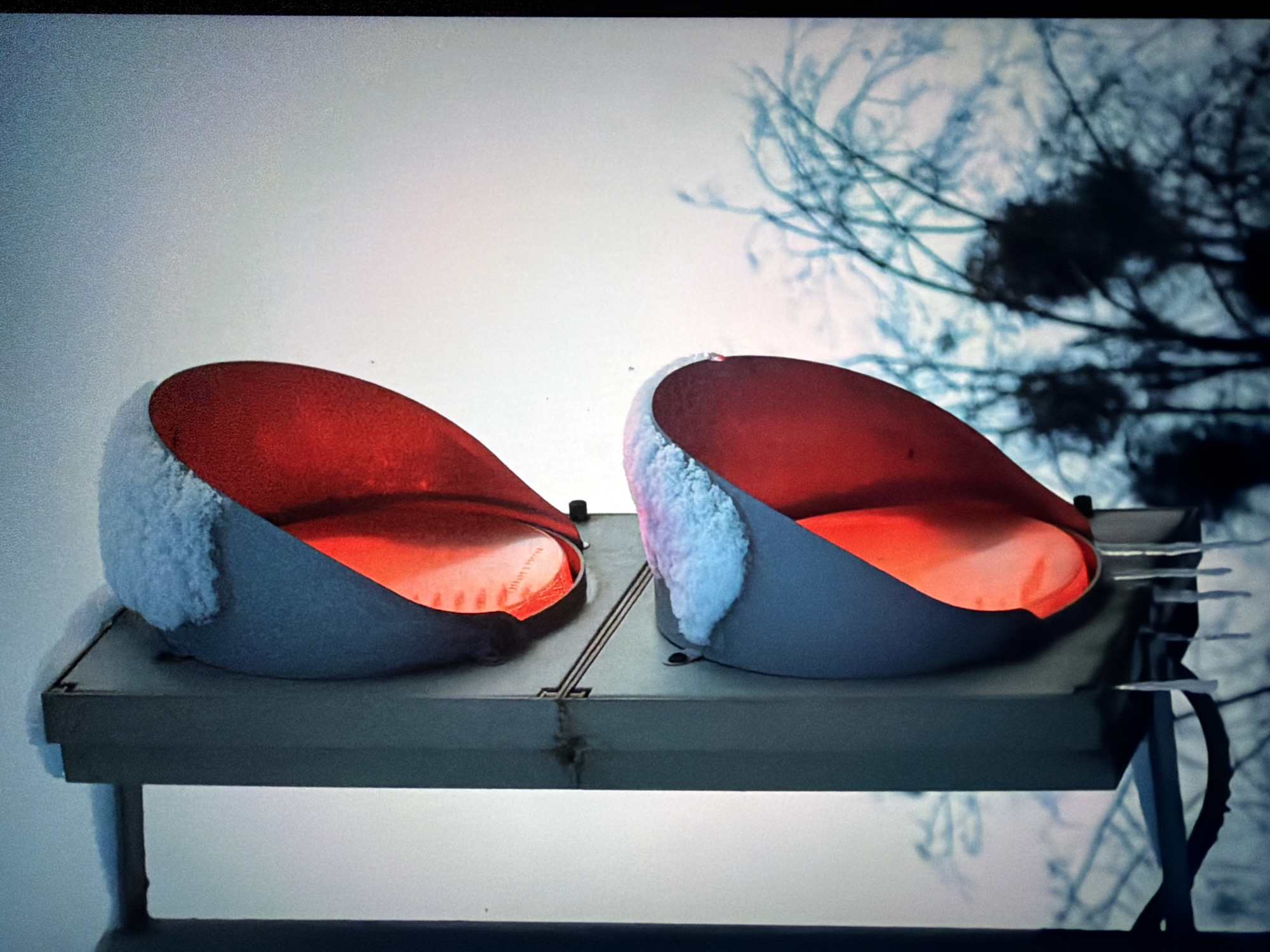 A vertical, close-up shot depicts a snow-covered traffic light with its two red lights illuminated against an overcast sky. The traffic light pole is a dark gray metal. The top red light has a rounded lens covered with a thick layer of snow, which drapes over the edges of the housing. The bottom red light is also covered in snow, with icicles hanging from its underside. In the background, out of focus, are bare tree branches, some with dark clusters that may be mistletoe or nests. The overall scene suggests a cold, wintery day in an urban environment, potentially Krasnodar, Russia, based on the assumed context. There are no people or animals visible in the image.