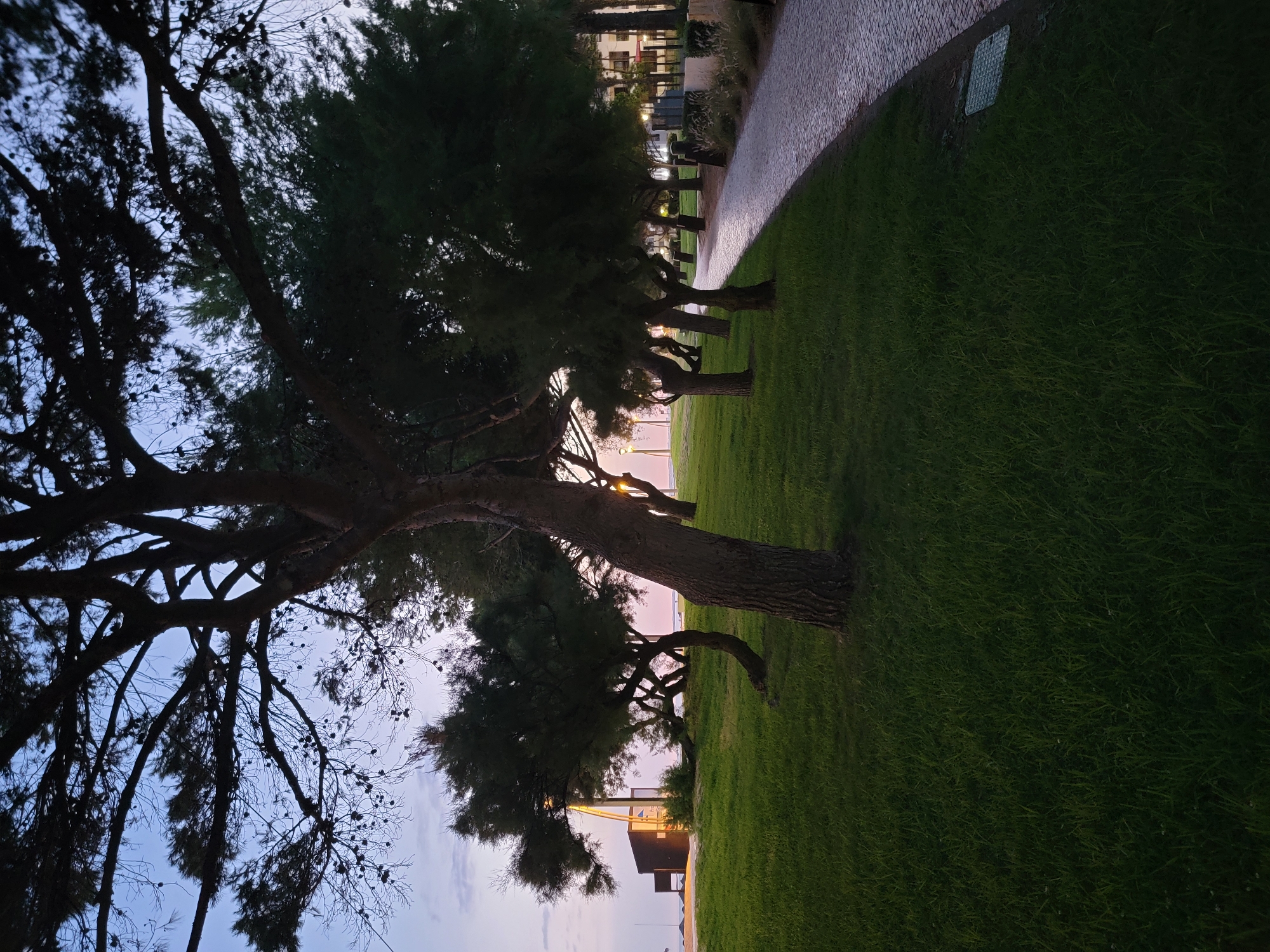 A paved walkway curves to the right through a grassy park lined with trees. The sky is a pale blue with hints of pink, suggesting dawn or dusk. In the background, a small building with a brown facade and a yellow lamp post is visible, and further beyond, hints of ocean and buildings can be seen. The scene is set in Quarteira, Portugal.