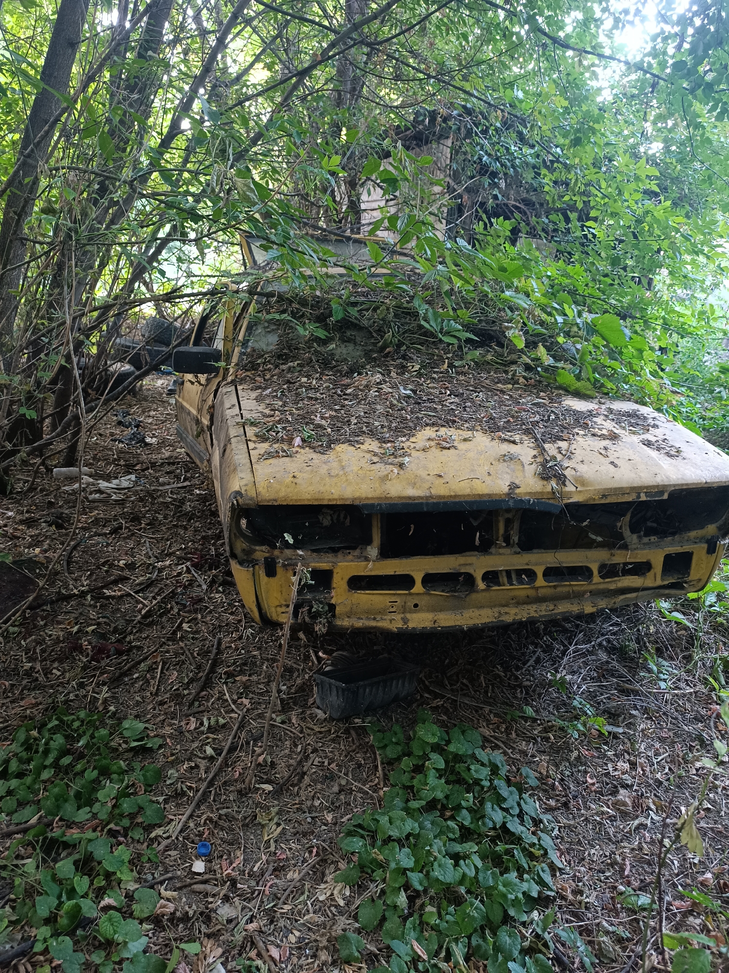 An abandoned yellow car sits in a wooded area, partially obscured by trees and foliage. The car's hood is covered in leaves and debris, and its front grille and headlights are missing. The surrounding environment is overgrown with vegetation, with fallen leaves and branches covering the ground. The scene appears to be in a state of decay and neglect. The location is Бәйдібек би ауылы, Kazakhstan.