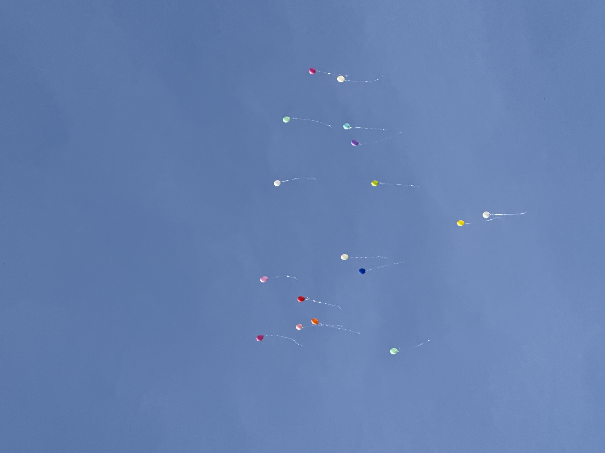 The image shows a clear blue sky with numerous colorful balloons drifting upwards. The balloons are various colors, including red, orange, yellow, green, blue, and purple. They are attached to thin, wispy strings. The balloons are scattered across the frame, with a greater concentration in the center and upper right area. There are no visible people or buildings. The scene could be located anywhere. The description does not contain enough information to determine the location to Lovech, Bulgaria.