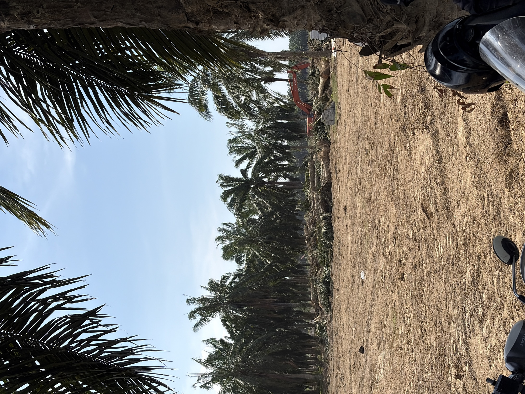 The image depicts a cleared plot of land in Simpangempat, Indonesia. Palm trees line the left side of the frame, partially obscured by palm fronds in the foreground. An orange excavator is visible in the background, positioned on the cleared land. The ground is dry and appears to be dirt or sand. In the bottom right corner, a portion of a motorcycle, including the side mirror and Honda logo, is visible, with a helmet positioned above. The sky is light blue.