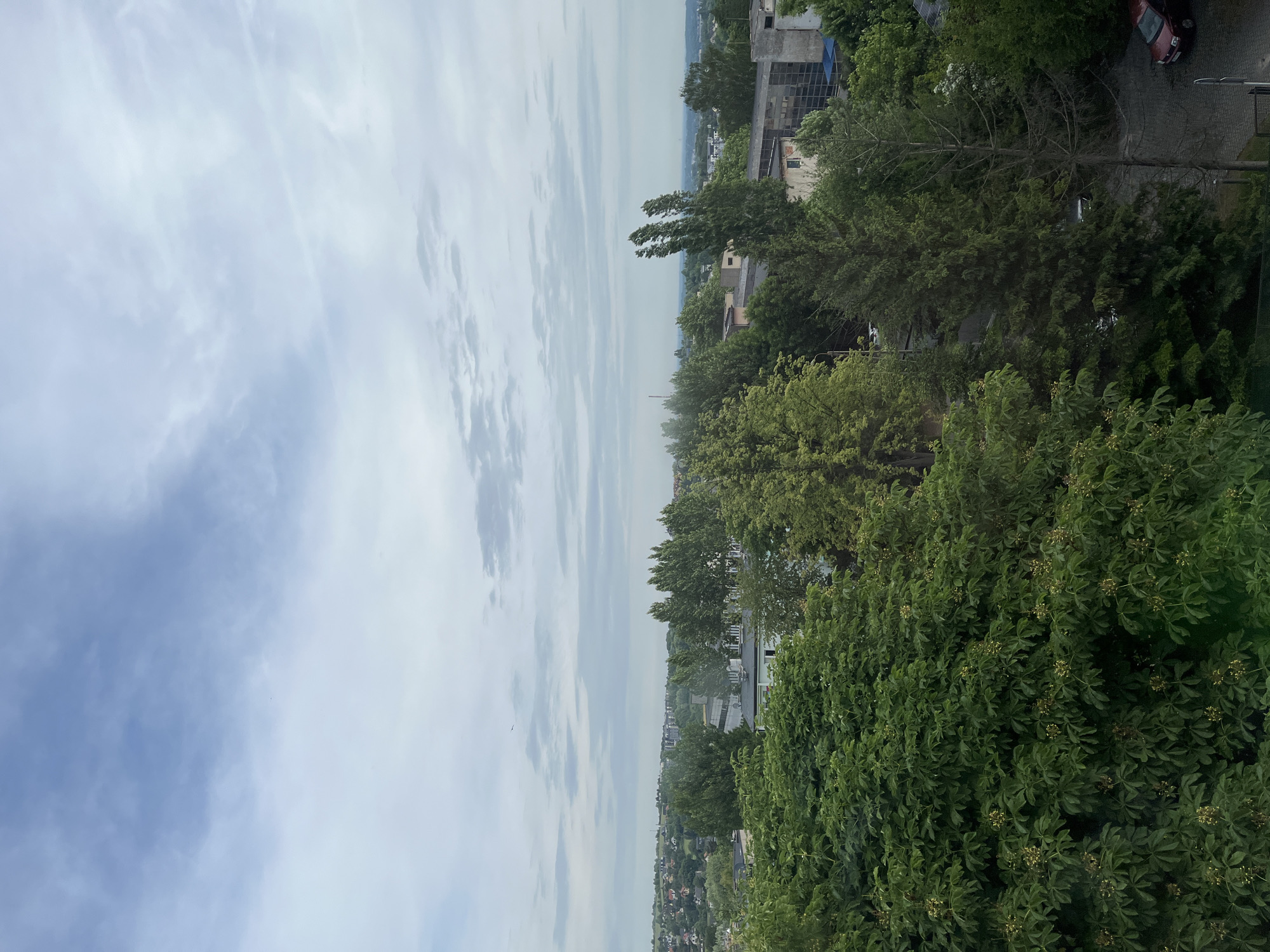 The image presents a broad, elevated view of an outdoor landscape under a cloudy sky. The top portion is dominated by a pale blue sky filled with diffused, patchy white and light gray clouds. Below the sky, a distant horizon line reveals a sprawling urban or suburban area, characterized by numerous buildings and structures, some appearing residential and others commercial or industrial. The distant landscape appears somewhat hazy.
The mid-ground and foreground are densely packed with verdant green trees, showcasing a variety of foliage. Some trees have full, rich canopies, while others, particularly in the immediate foreground, display a distinct texture of leaves interspersed with small, light-colored buds or blossoms. Closer to the viewpoint, partial structures of buildings with windows are visible, along with a paved surface where a red car is parked on the right side. One tree in the mid-ground has noticeable bare branches, suggesting its specific type or condition. A tiny, dark bird is discernible flying in the distant sky.
The scene depicts a cloudy daytime, possibly late morning or early afternoon, with soft, diffused light. There are no people visible, and no specific activities or events are taking place beyond the static view of the landscape. No visible text is present in the image.
