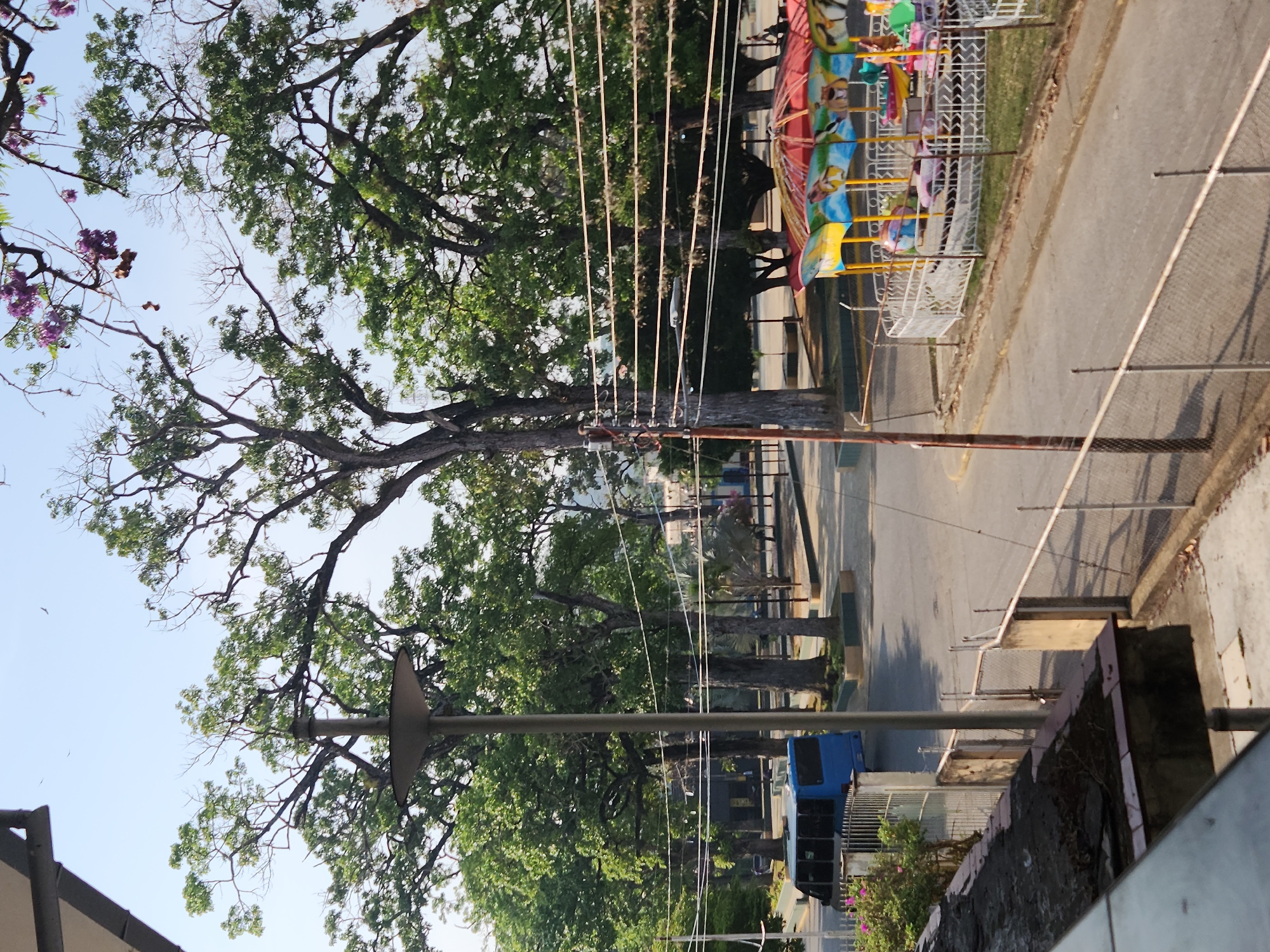 The image depicts a street scene in Tinaquillo, Venezuela. Trees with lush green foliage line the street, interspersed with utility poles and power lines. A blue truck is parked on the side of the road. A colorful carousel-type amusement ride is visible behind a fence along the street. The scene is captured from an elevated perspective, possibly from a building or higher ground.