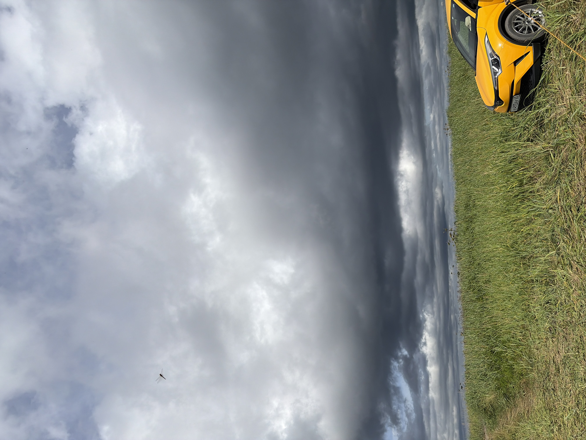 A yellow Toyota C-HR is parked in a grassy field under a dramatic sky with dark, stormy clouds. A narrow dirt path leads into the field from the left side of the frame. In the upper left quadrant of the sky, a dragonfly is visible. The scene appears to be in a rural or undeveloped area, possibly on the outskirts of Ozerskoe, Russia, given the type of vegetation and the overcast weather conditions that can be common in the region. There are no people visible in the image.