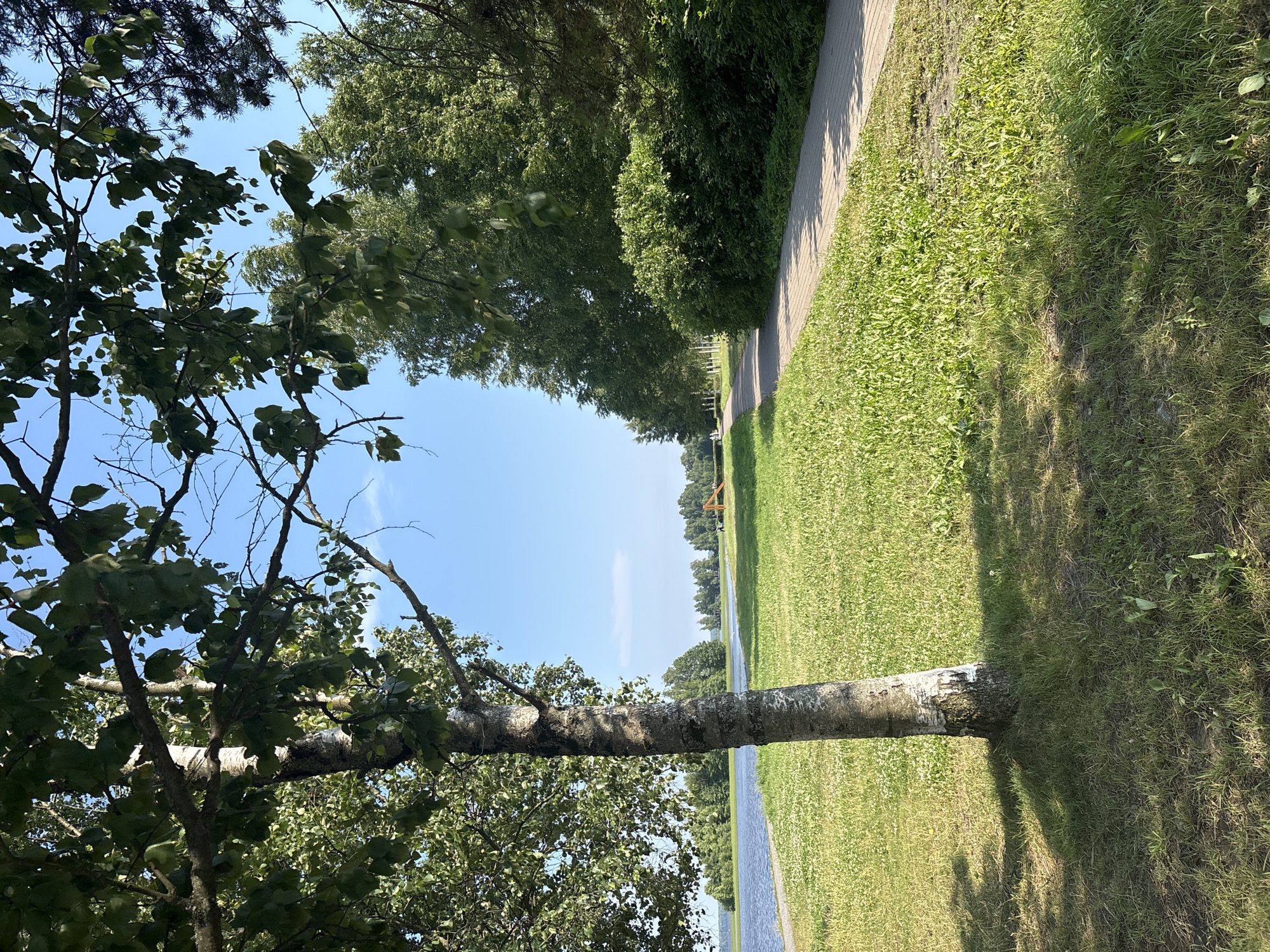 The media file depicts a scenic outdoor view in Sestroretsk, Russia, on a clear, sunny day. The scene is dominated by lush greenery and a bright blue sky, suggesting pleasant weather, likely during the daytime given the strong shadows.
The primary subjects are natural elements: several trees, a grassy area, a paved pathway, and a body of water. In the foreground, a large tree trunk lies horizontally across the frame, with its branches and leaves extending upwards and to the left, partially obscuring the sky. Beyond this fallen tree, a paved walkway runs along the right side of the frame, bordered by a vibrant green lawn. In the distance, a line of trees forms a dense hedge along the far side of the path, and a calm body of water is visible on the left, reflecting the sky. The overall setting appears to be a park or a recreational area, possibly along a waterfront.
There are no people or specific objects that indicate an event is taking place. The focus is on the natural landscape and the tranquil atmosphere it conveys. The image has a vertical orientation, which might be due to the camera being held sideways.
Notable details include the contrast between the dense foliage of the trees and the open sky, the texture of the tree bark, and the dappled sunlight creating shadows on the grass. The clear sky hints at good visibility and a potentially warm temperature. The presence of a walkway suggests it's a place designed for leisure and outdoor activities. There is no visible text in the media file.