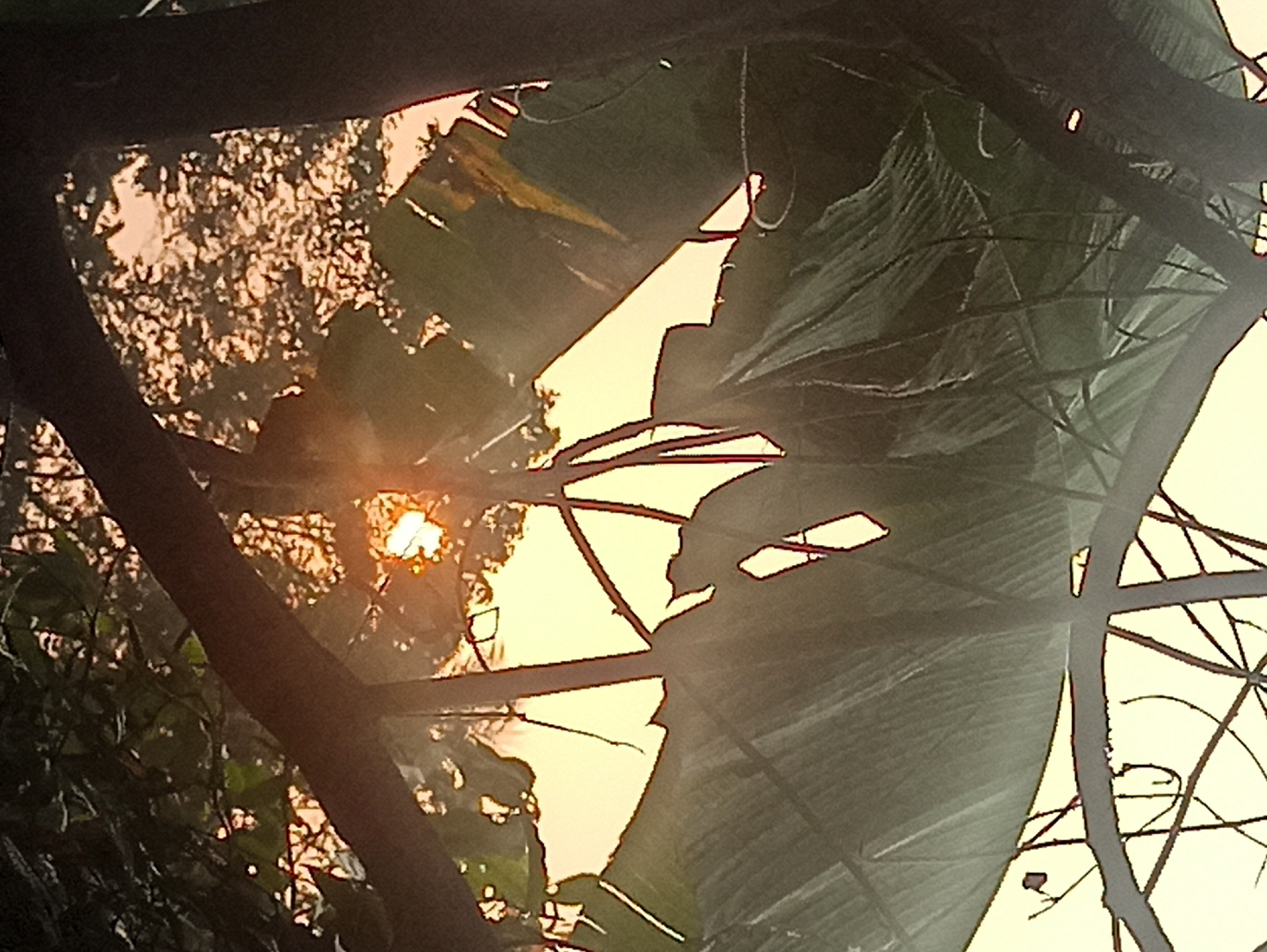 A low-angle, outdoor shot captures a sunset peeking through the foliage of a tree, potentially in Tuba, Indonesia. The sun, a bright orange orb, is visible between leaves and branches, casting a warm glow. Sunlight filters through the large, green leaves, some of which are torn and tattered, creating dappled light and shadow patterns. The background is a hazy yellow-orange sky, suggesting the sun is low on the horizon. The foreground features dark, silhouetted branches and tree trunks, framing the scene. The overall impression is one of natural beauty and tranquility, possibly indicating a rural or semi-rural setting where such lush vegetation is common.