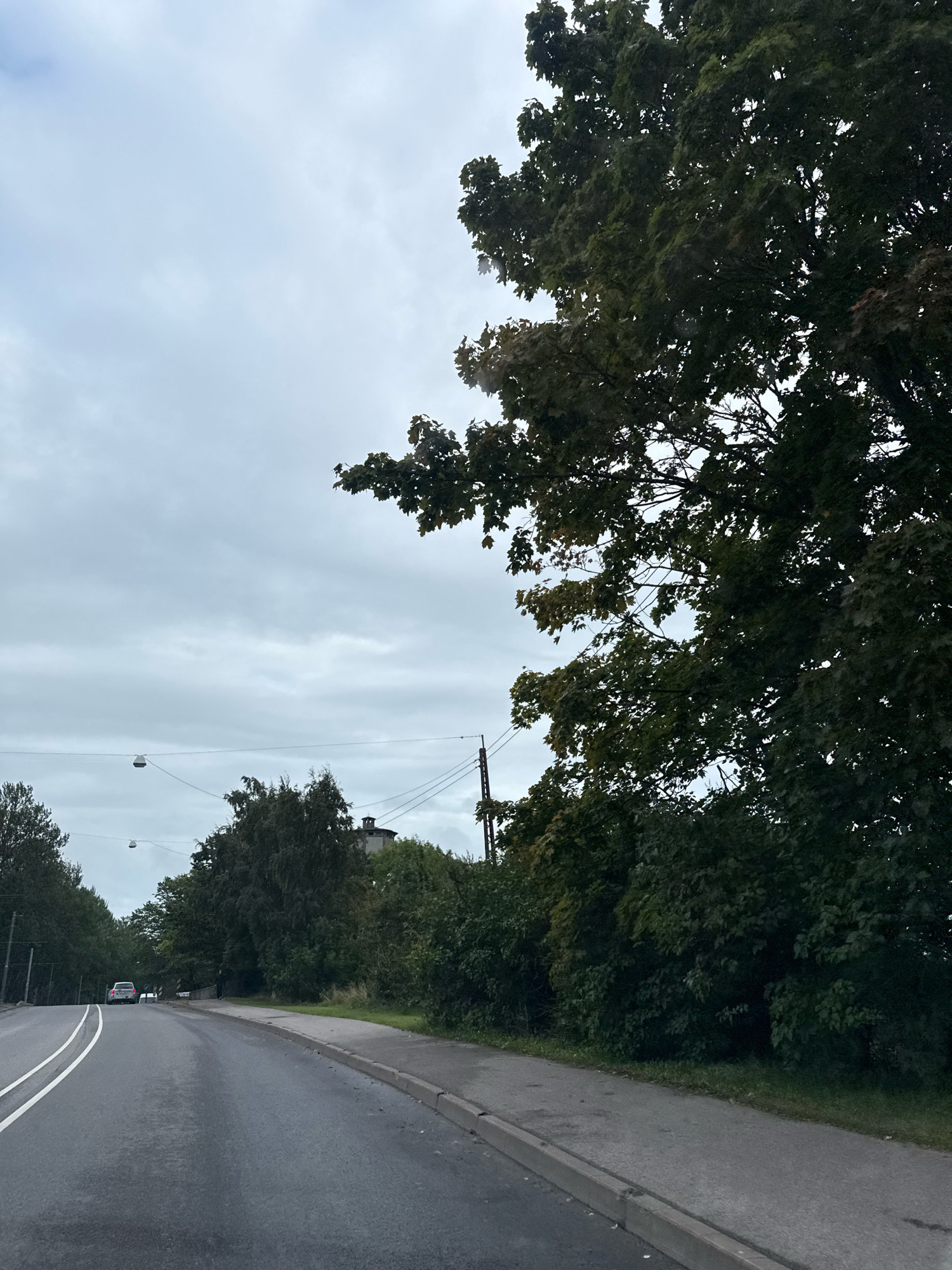 The image captures a view of a road in Tallinn, Estonia, on an overcast day. A paved road with white dividing lines leads into the distance, curving slightly to the left. On the right side of the road, there is a concrete sidewalk and a grassy verge. Dense green trees and bushes line the right side of the road, with a large tree with dark green foliage dominating the foreground on the right. In the background, more trees and some structures are visible, including a building with a tower on a hill. Power lines and streetlights are strung across the sky. A white car is traveling away from the camera on the road. The sky is heavily clouded, suggesting a gloomy or rainy day.