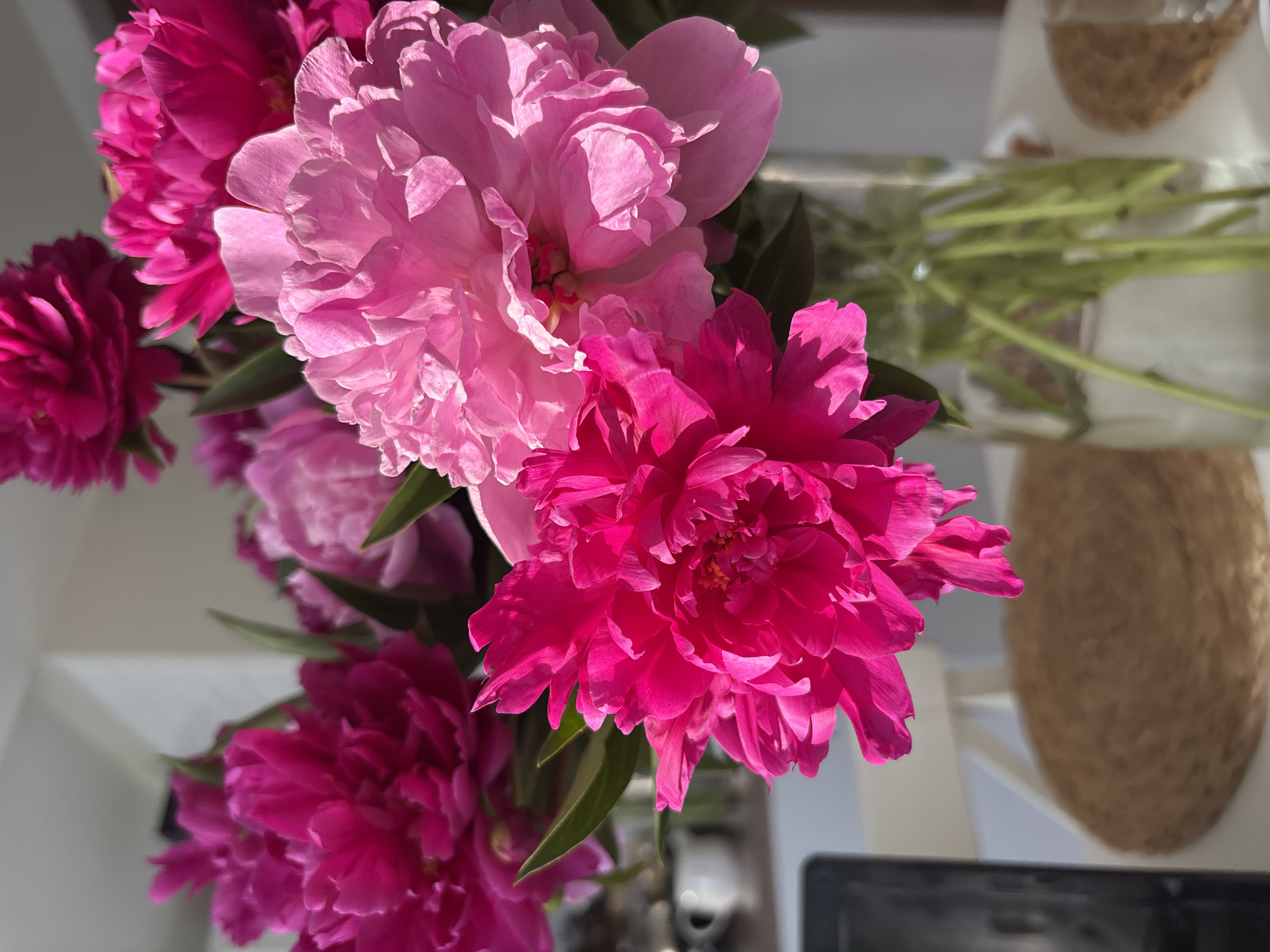 A top-down, close-up shot captures a bouquet of vibrant pink peonies in a glass vase. The flowers are the central focus, with their delicate, ruffled petals illuminated by natural light, casting soft shadows. The bouquet features a range of pink hues, from a soft, pale pink to a deep, fuchsia. Green leaves and stems are visible, peeking out from beneath the blooms. The vase is transparent, allowing a view of the water and the stems submerged within. In the blurred background, hints of an indoor setting can be discerned. To the right, a woven, cylindrical object, possibly a basket or planter, adds a textural element. The overall mood is serene and elegant, suggesting a quiet moment indoors. The lighting suggests it is daytime, possibly late morning or afternoon, with the sunlight creating a bright and airy atmosphere. No people are visible in the frame. There is no visible text in the image.
