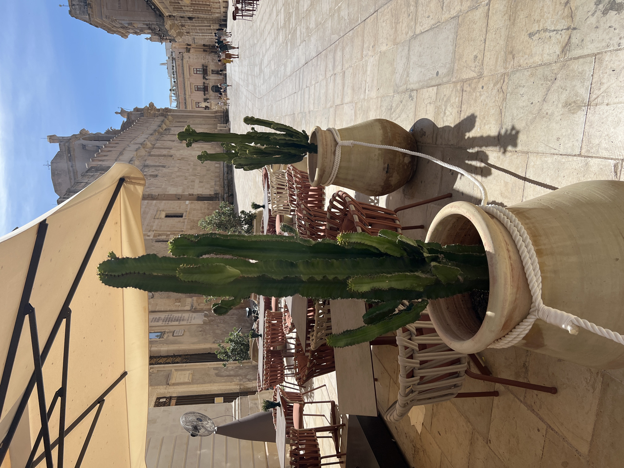 The image depicts a sun-drenched piazza in Syracuse, Italy, likely Ortigia, given the architecture. In the foreground, two tall, potted cacti stand prominently on the stone-paved ground, one larger than the other. The larger cactus, in a light-colored, large ceramic pot, is adorned with a thick, white rope. Behind these plants, outdoor seating for a cafe or restaurant is visible, with numerous tables and chairs. A large, cream-colored umbrella provides shade over some of the seating. Further in the background, people are seen walking and strolling along the piazza, and the facade of a historic, stone building with classical architectural elements lines one side of the square. The sky is clear and blue, indicating a bright, sunny day.