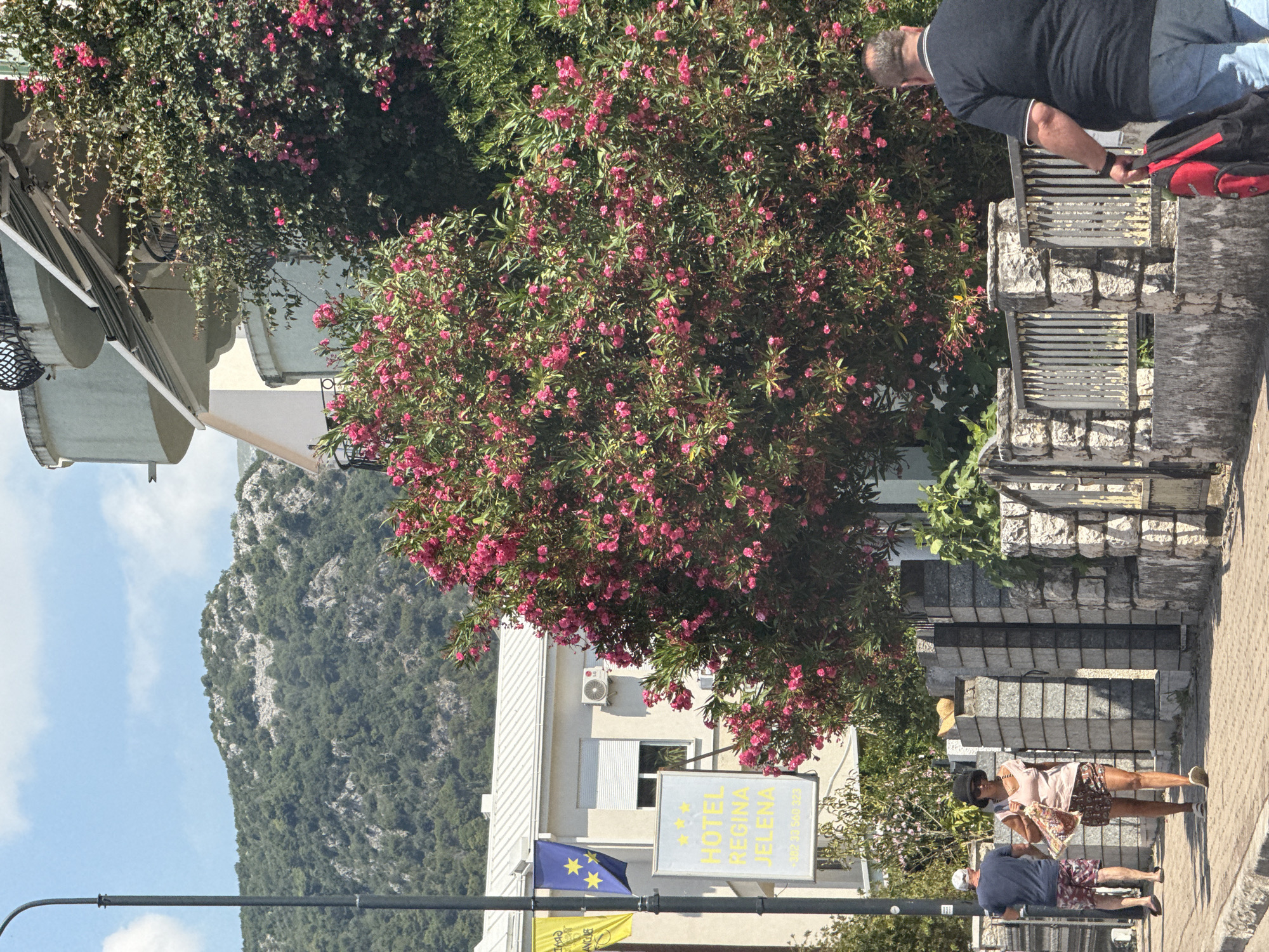 In Budva, Montenegro, a street scene unfolds under a bright, partially cloudy sky. A man in a blue t-shirt and patterned shorts walks away from the camera on a paved sidewalk, his back to the viewer. To his right, a woman in a light pink t-shirt and patterned shorts walks towards the camera, wearing a black hat and sunglasses, carrying a patterned bag. Behind them, a man in a dark t-shirt and blue jeans walks away from the camera, carrying a red and black backpack.
The sidewalk is bordered by a low, stone wall with metal railings. A large, blooming tree with numerous pink flowers dominates the right side of the frame, obscuring parts of a building with balconies and an awning. To the left of the tree, a building with white trim and a white roof is visible, with a sign that reads "HOTEL REGINA JELENA" in yellow text with yellow stars. Two flags, one yellow and one blue with stars, hang from a pole near the hotel sign. An air conditioning unit is mounted on the building wall. In the background, a forested mountain range with rocky outcrops rises against the sky. The overall atmosphere is that of a warm, sunny day in a Mediterranean town.
