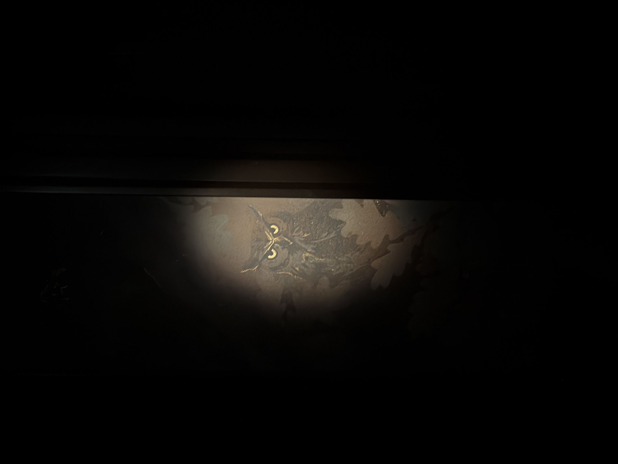 The image displays a highly darkened environment, with a focused circular spotlight effect illuminating a central detail. Within this illuminated area, a stylized depiction of an owl's face emerges. The owl features prominent, glowing yellow or gold eyes with dark, slit pupils, creating a watchful and mysterious expression. Its head, wings, and surrounding elements are rendered in shades of dark brown and gold, blending into a decorative pattern that resembles tree bark, branches, or autumn foliage.
This artwork appears to be a permanent decorative element on a surface, possibly a wall panel, a piece of furniture, or a screen, dimly revealed in what seems to be an otherwise dark room. The focused illumination suggests that a specific, directed light source, such as a flashlight, is being used to highlight this intricate detail. The predominant darkness of the image implies a setting during the night or in a very poorly lit indoor space. No specific activity beyond observation is taking place, and no human figures or visible text are present. The atmosphere is one of quiet discovery and focused attention on the hidden artistic detail, located in Moscow, Russia.