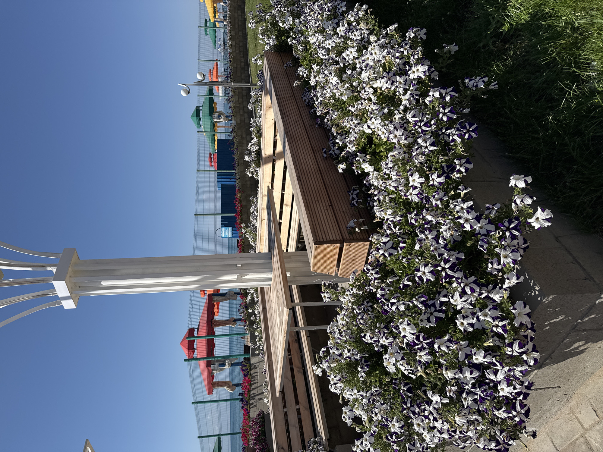 In Sary-Oy, Kyrgyzstan, a sunny outdoor seating area is depicted on a clear day. In the foreground, a planter filled with white and purple petunias borders a wooden picnic table and bench set. The table is made of light-colored wood planks, supported by white metal legs, and the benches are constructed with the same wood. Behind the seating area, a metal fence encloses a promenade with a view of the sea. Various colorful beach umbrellas—red, green, orange, and yellow—are visible beyond the fence, suggesting a beach resort or public recreational area. A tall, fluted white column, part of an overhead structure, dominates the right side of the image, casting a shadow. The environment is a well-maintained outdoor space designed for relaxation and dining, likely in a tourist-centric location given the beach umbrellas and proximity to the water.