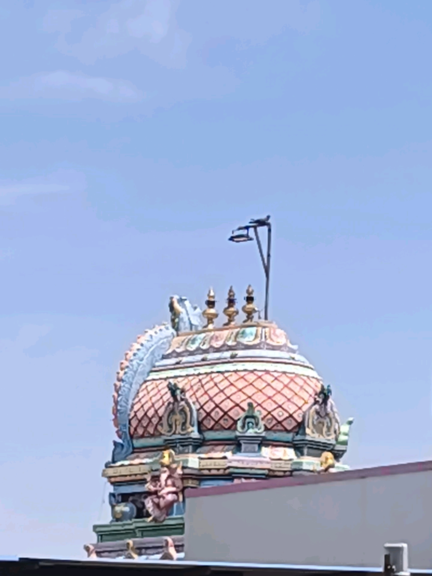 The image shows a close-up view of the intricately decorated pinnacle of a Hindu temple against a clear blue sky. The pinnacle is adorned with colorful sculptures and patterns, featuring a domed roof with tiled sections in shades of orange and pink. Decorative motifs and figures are visible on the sides of the structure. At the very top of the temple pinnacle, a bird is perched on a lamp post, silhouetted against the sky. In the foreground, the edge of a flat, light-colored building obstructs the lower portion of the temple structure. The scene is likely from Coimbatore, India, given the architectural style and the presence of Hindu temples in the region.
