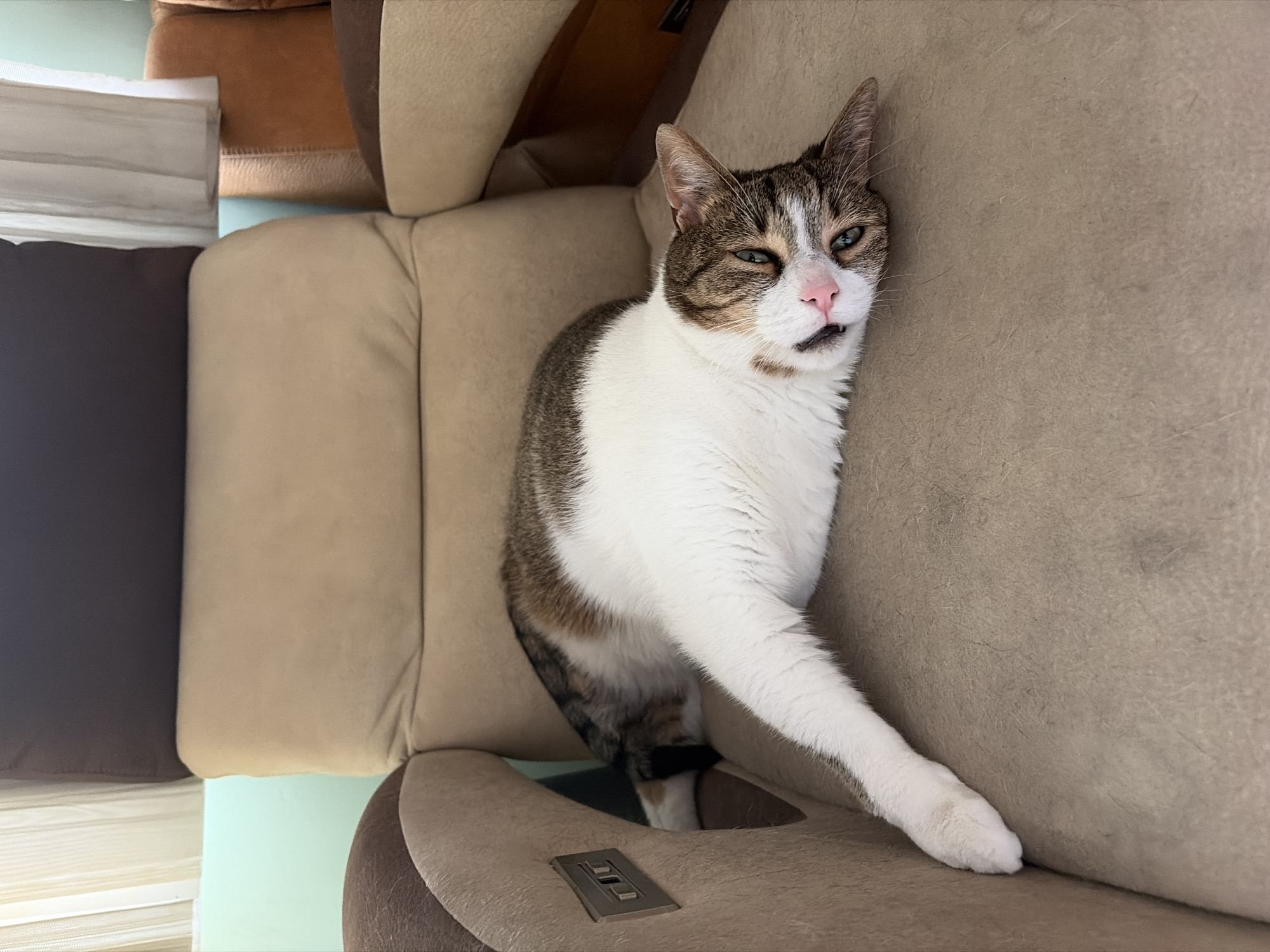 A tricolor cat with white, brown, and gray markings is lying on its side on a beige armchair. The cat's head is resting on the seat of the chair, and its eyes are partially closed. Its pink nose is visible, and its mouth is slightly open. One of the cat's front legs is extended forward, while the other is tucked underneath its body. The armchair appears to be in a living room, with a window and curtains visible in the background. The overall impression is one of relaxation and comfort.