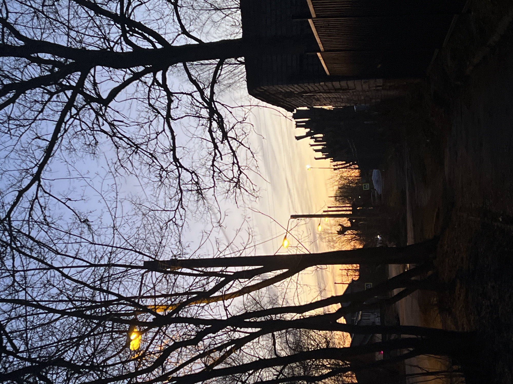 The image shows a street scene in Berezniki, Russia, taken at dusk or dawn. Silhouetted tree branches dominate the foreground against a sky with a gradient of colors, from pale blue to orange. Streetlights with illuminated globes are visible along the street. A building with a dark, textured facade is on the right. The street appears to be residential, with parked vehicles and distant houses visible.
